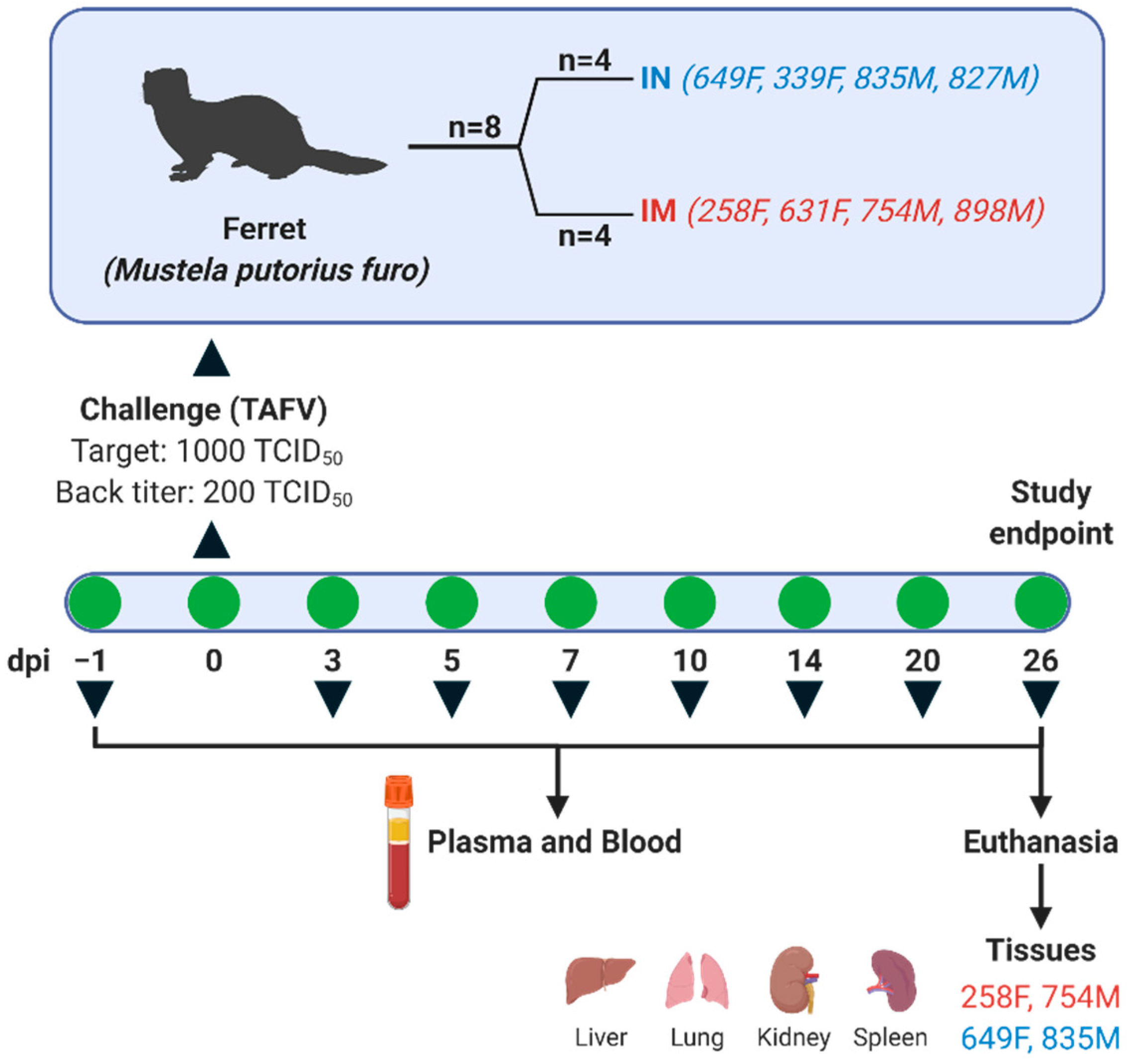 Microorganisms 09 00213 g001