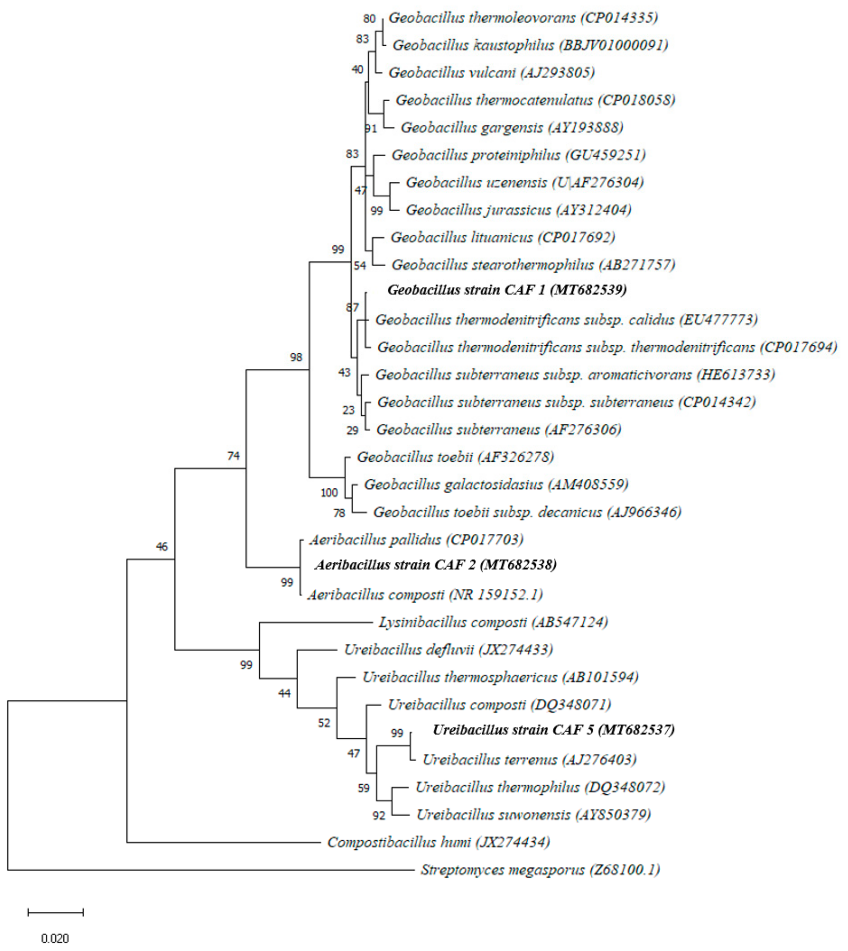 Microorganisms 09 00218 g003