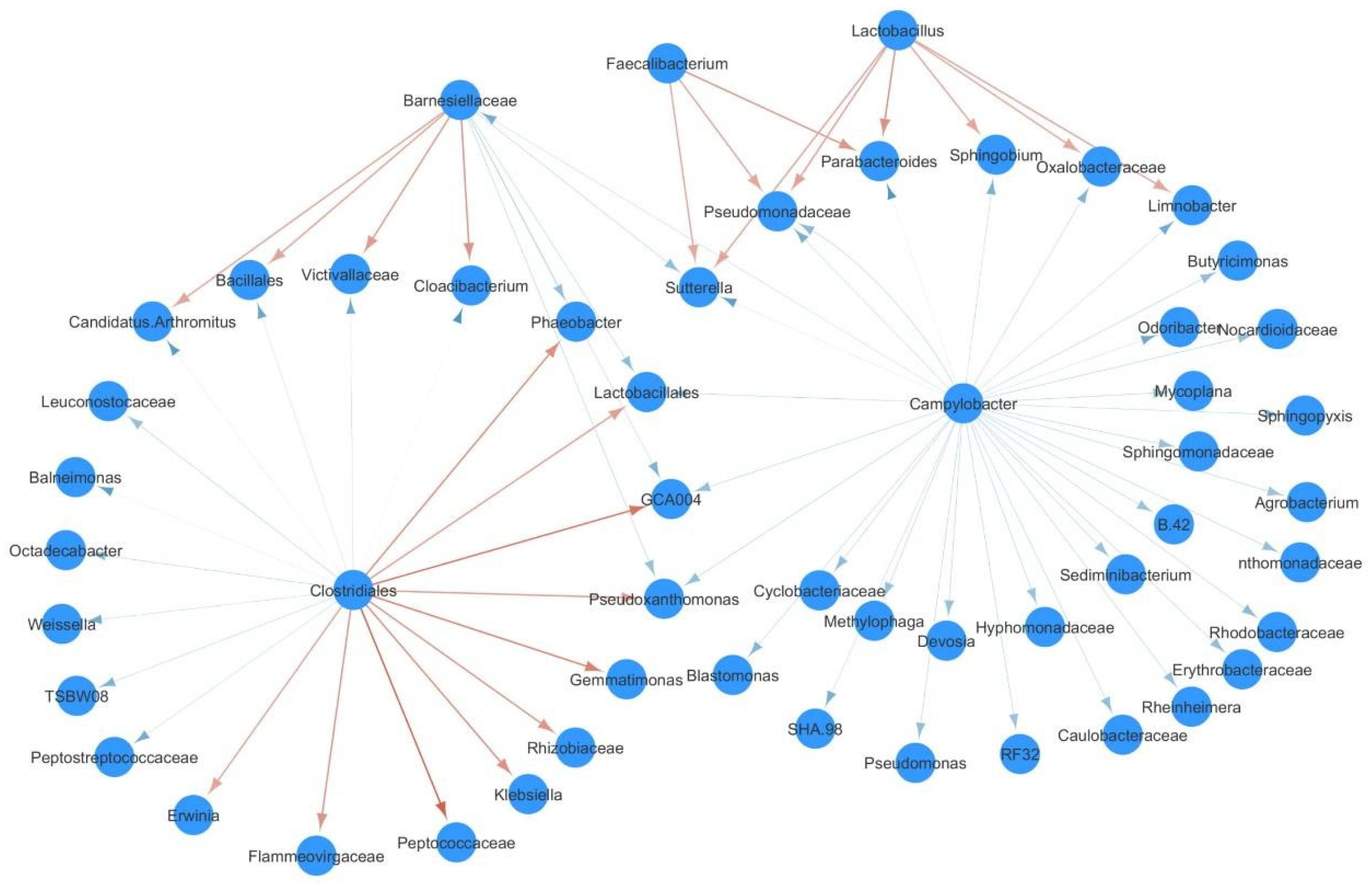 Microorganisms 09 00221 g004 Microorganisms 09 00221 g004
