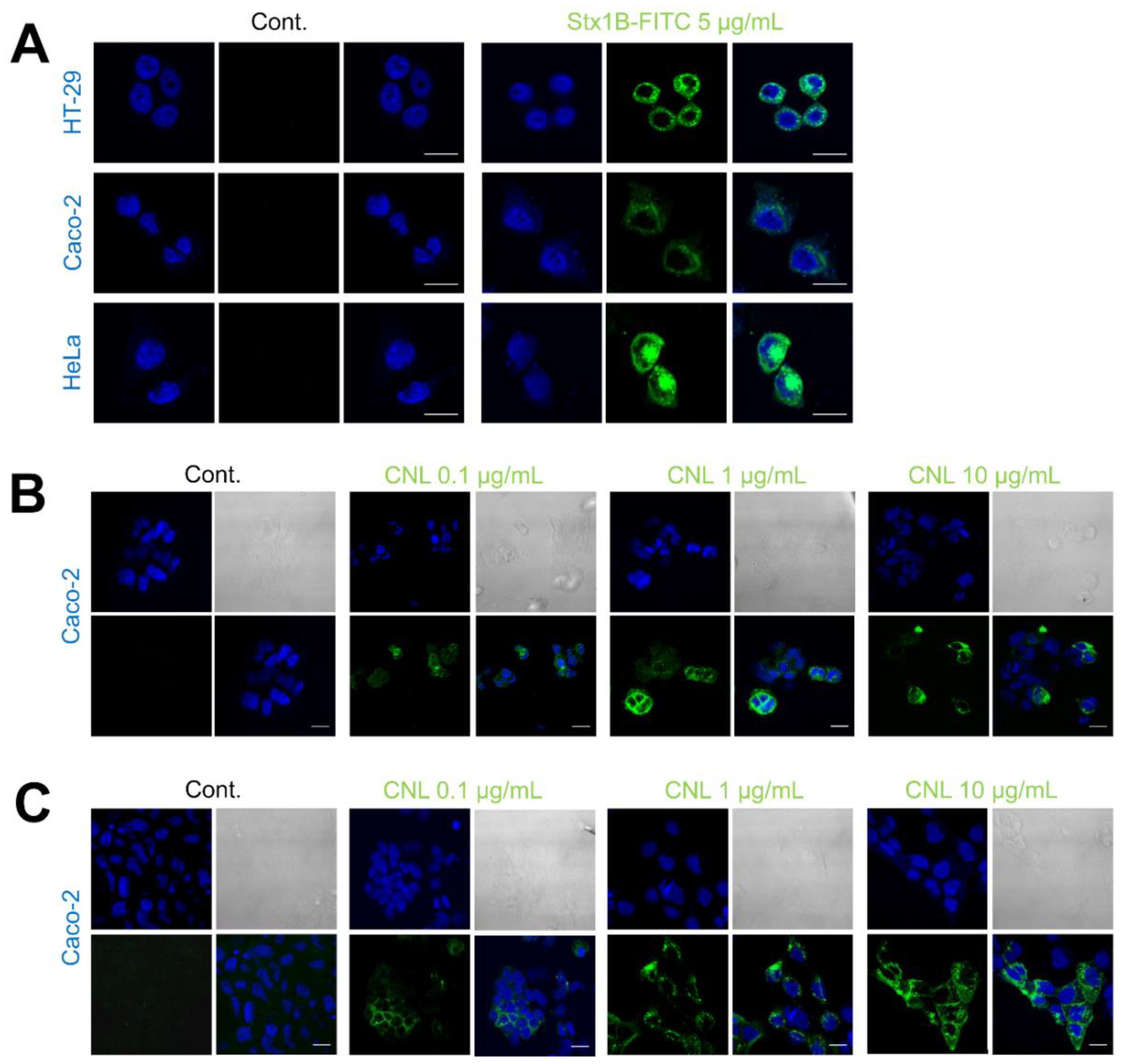 Microorganisms 09 00223 g002 Microorganisms 09 00223 g002