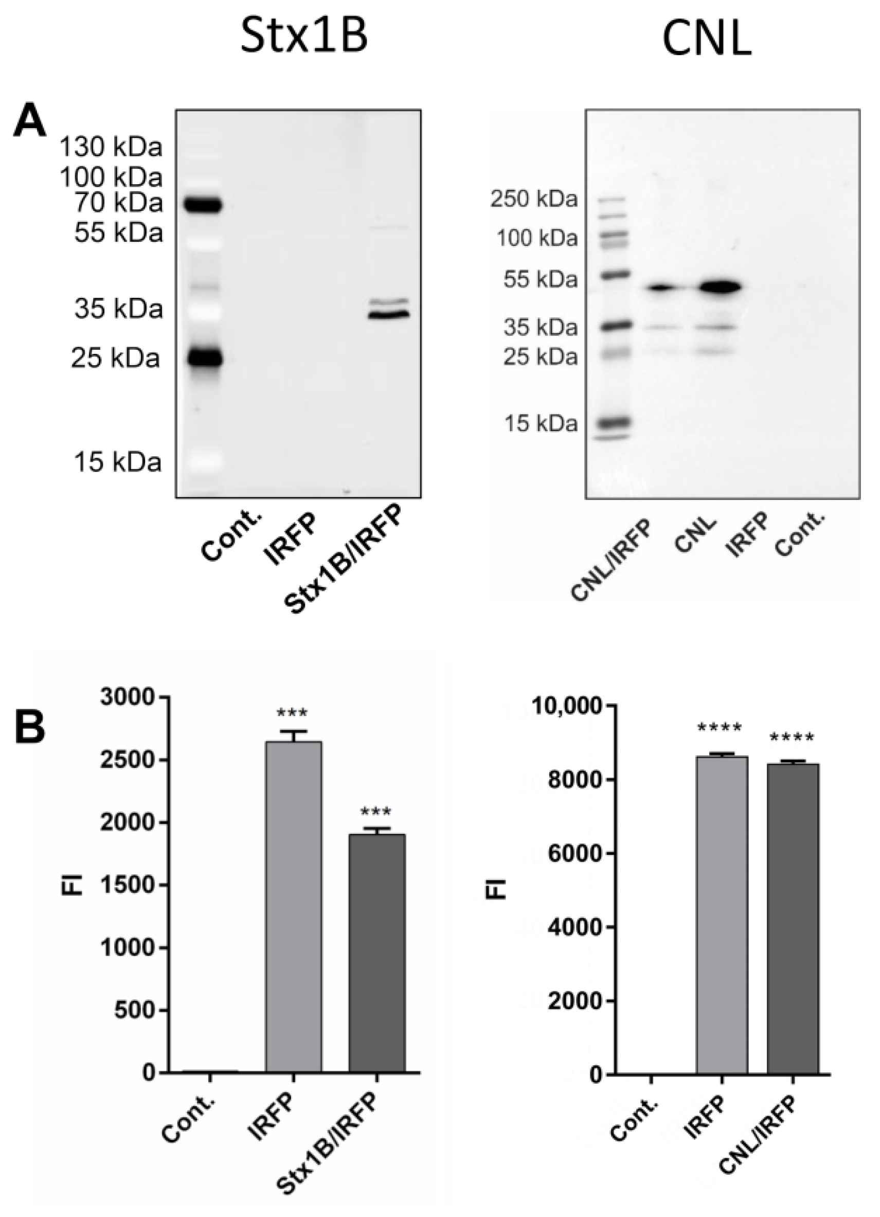 Microorganisms 09 00223 g005 Microorganisms 09 00223 g005