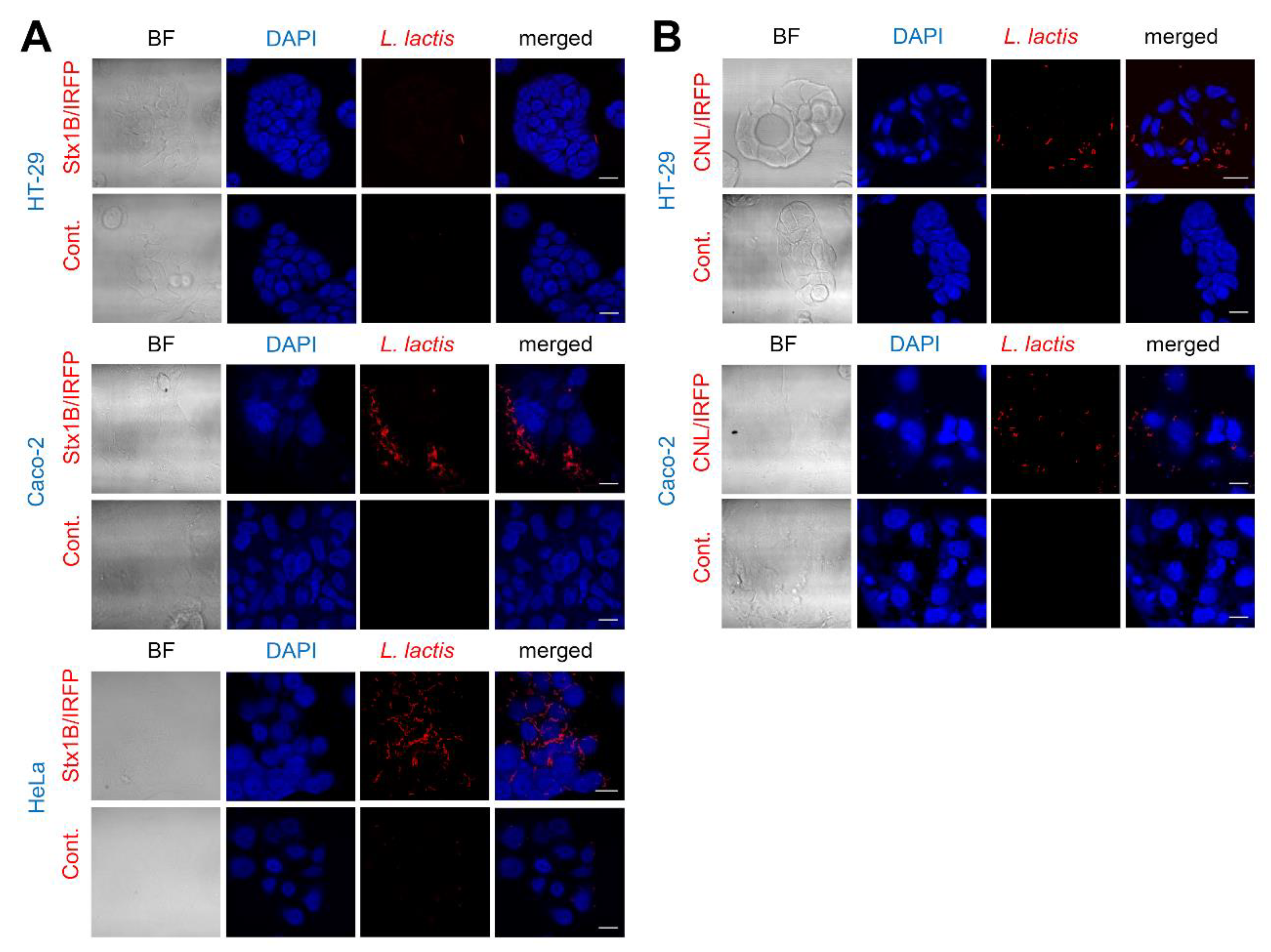 Microorganisms 09 00223 g007 Microorganisms 09 00223 g007