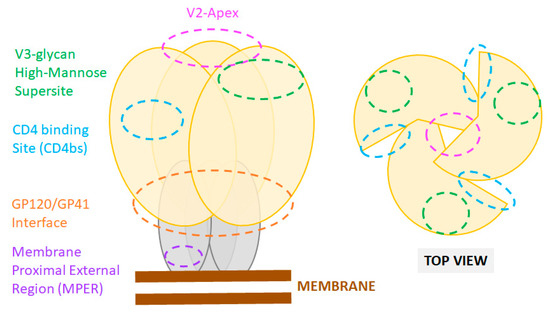 Microorganisms 09 00228 g001 550