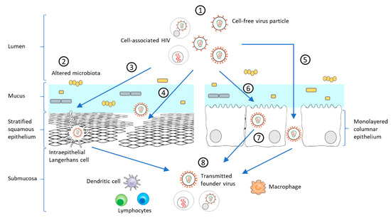 Microorganisms 09 00228 g002 550