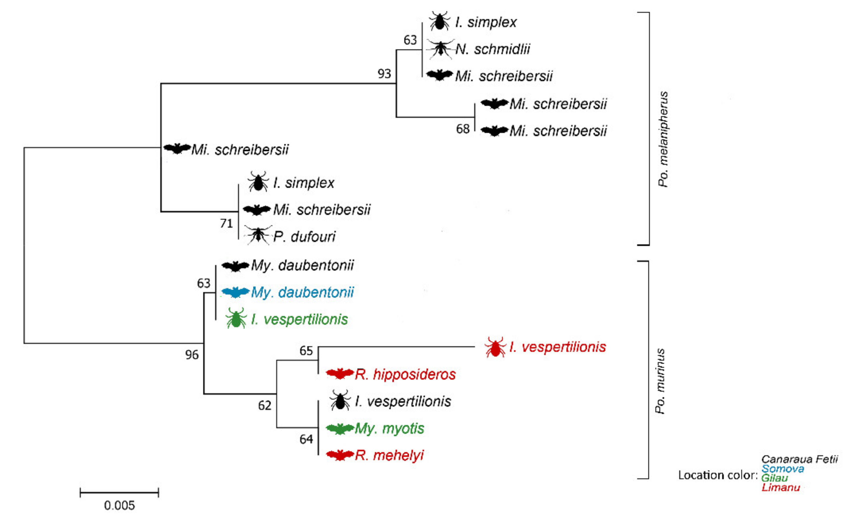 Microorganisms 09 00230 g002