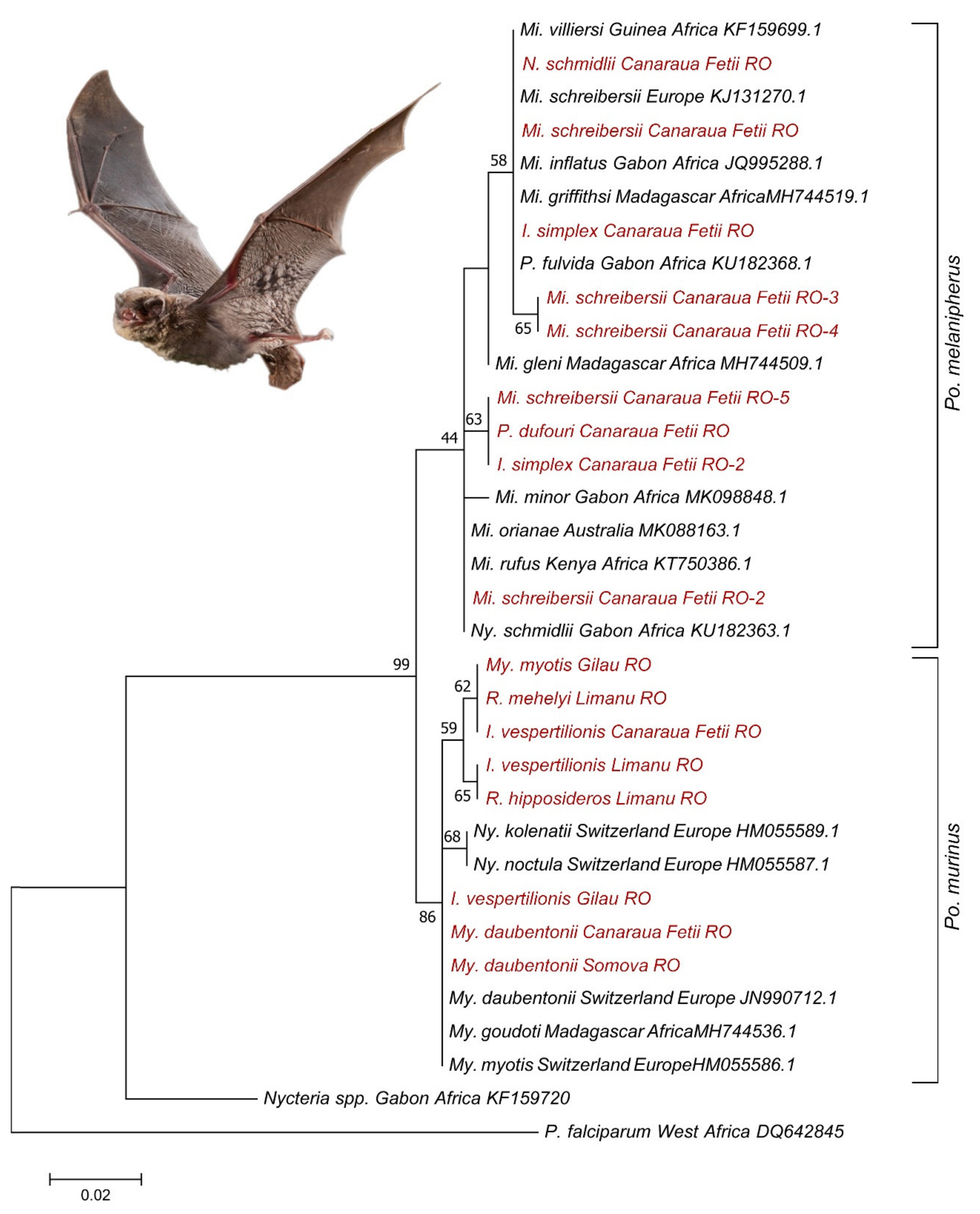 Microorganisms 09 00230 g003
