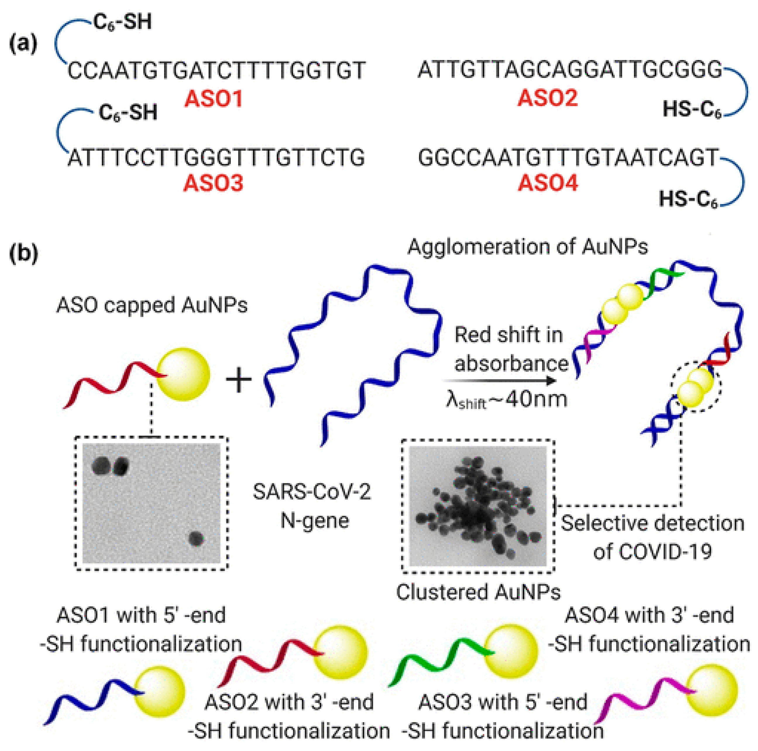 Microorganisms 09 00232 g003