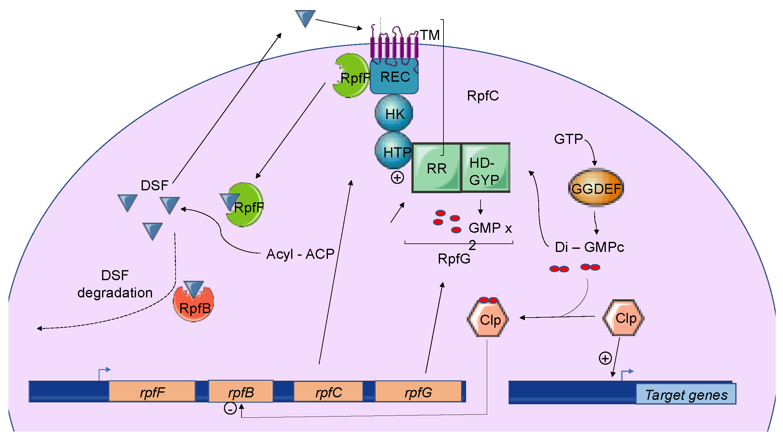 Microorganisms 09 00239 g004 Microorganisms 09 00239 g004