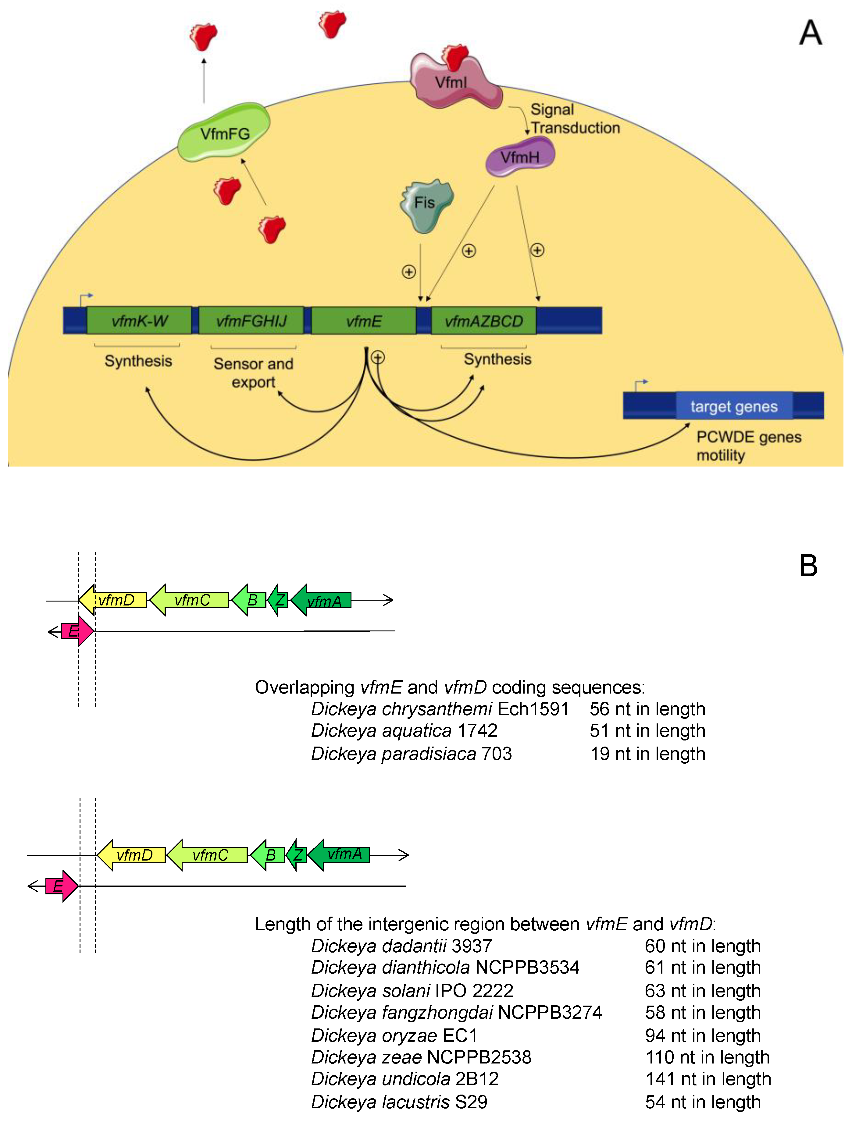 Microorganisms 09 00239 g005 Microorganisms 09 00239 g005
