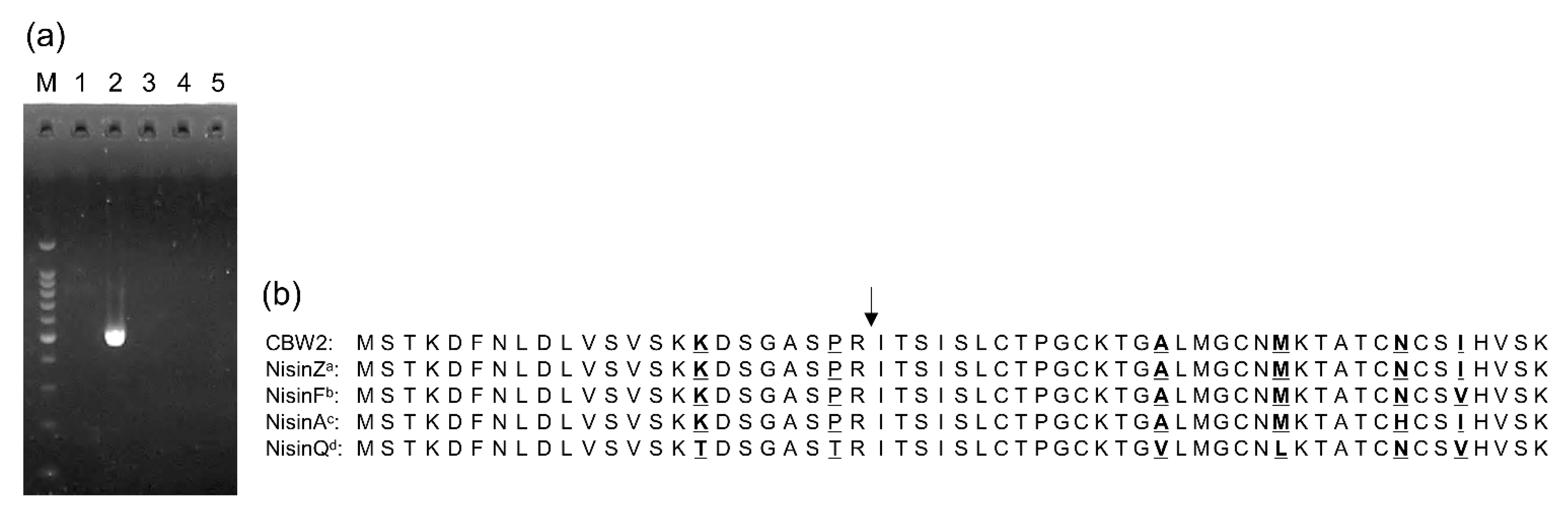 Microorganisms 09 00243 g003