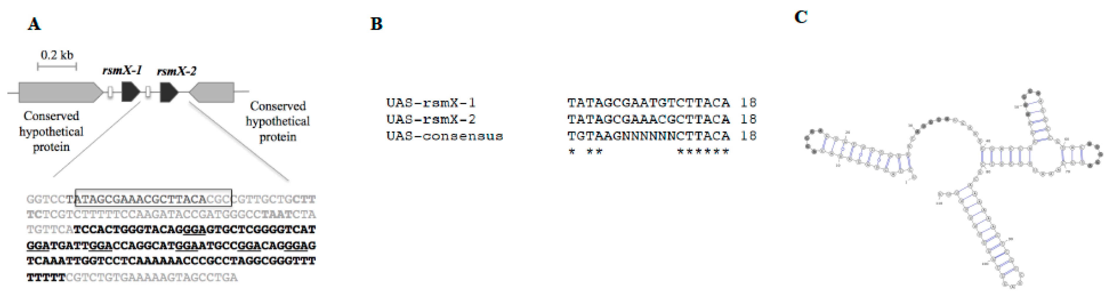 Microorganisms 09 00250 g001 Microorganisms 09 00250 g001
