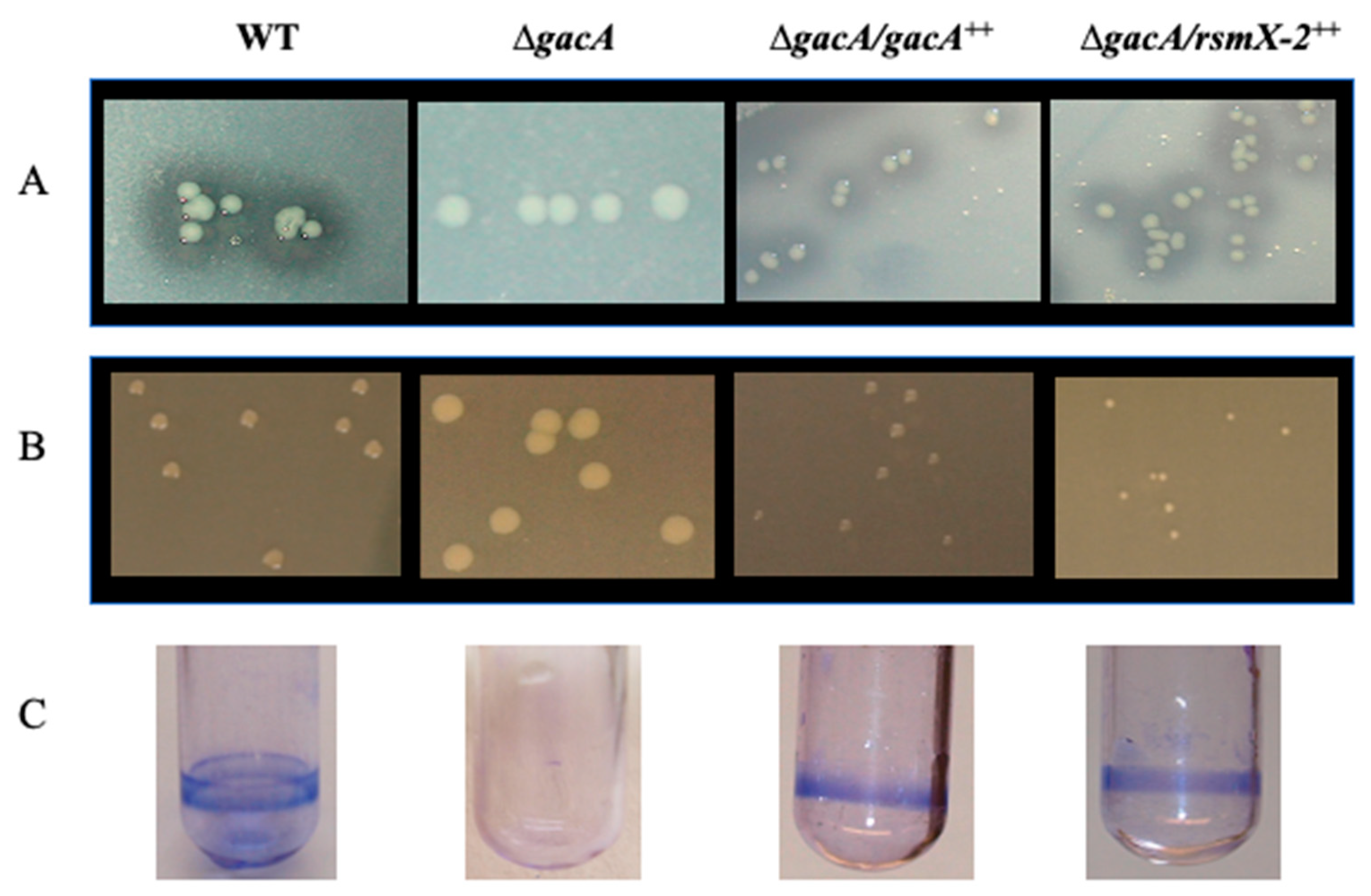 Microorganisms 09 00250 g004 Microorganisms 09 00250 g004