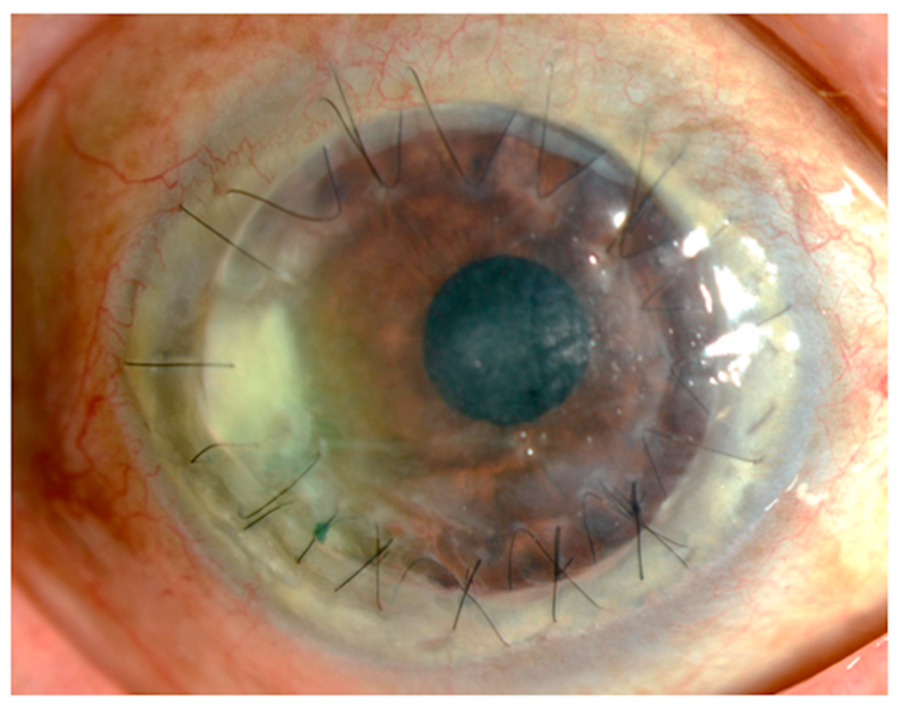 Microorganisms 09 00254 g001 Microorganisms 09 00254 g001