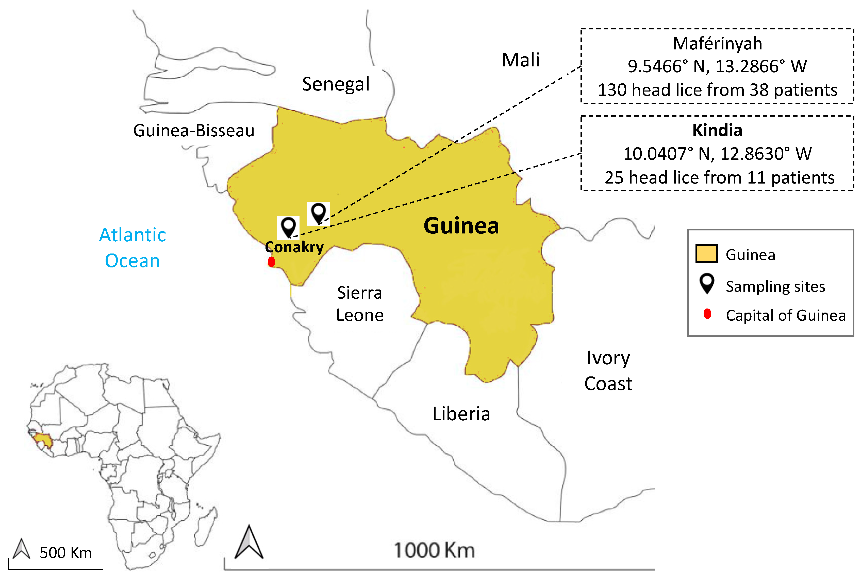 Microorganisms 09 00257 g001 Microorganisms 09 00257 g001