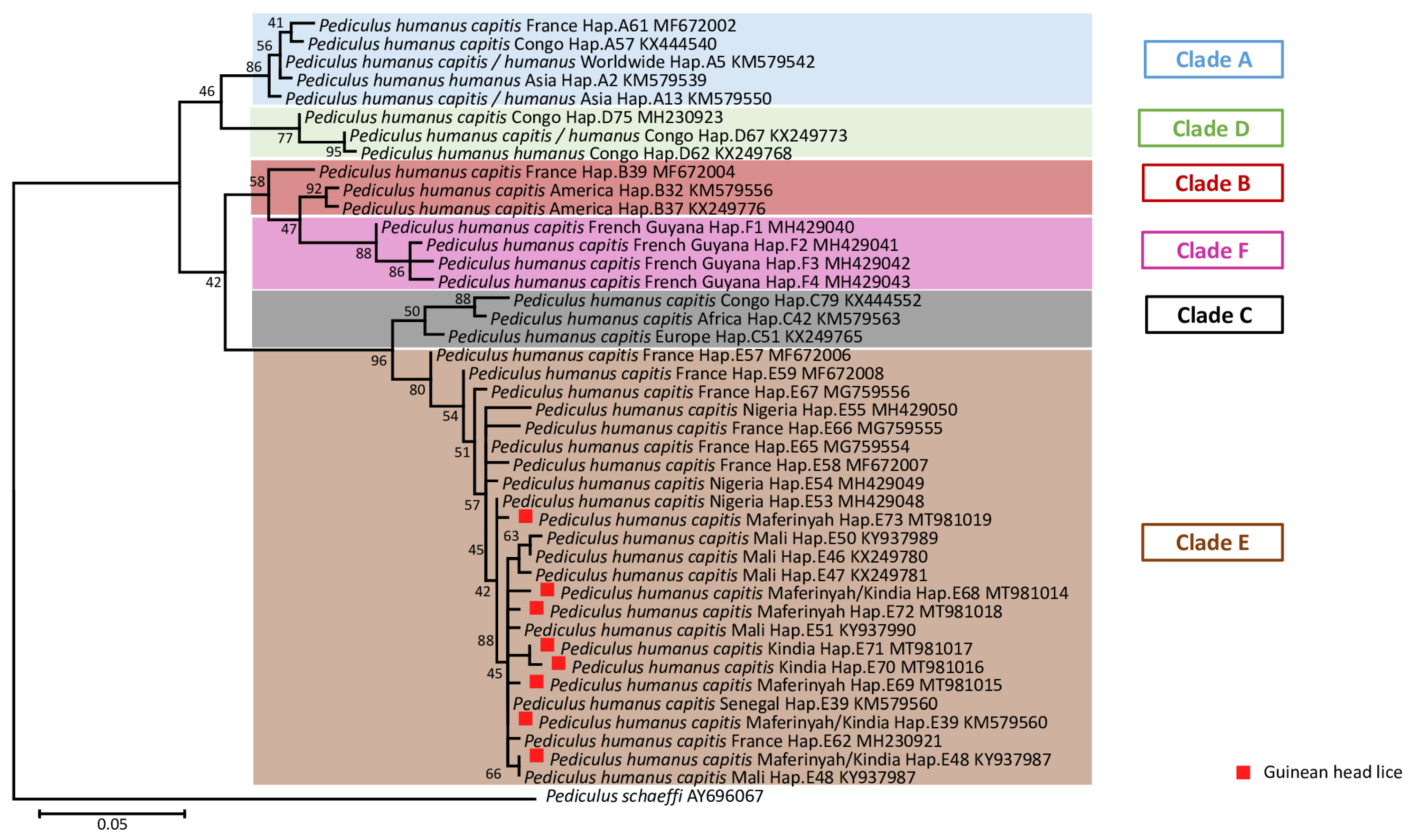 Microorganisms 09 00257 g002 Microorganisms 09 00257 g002