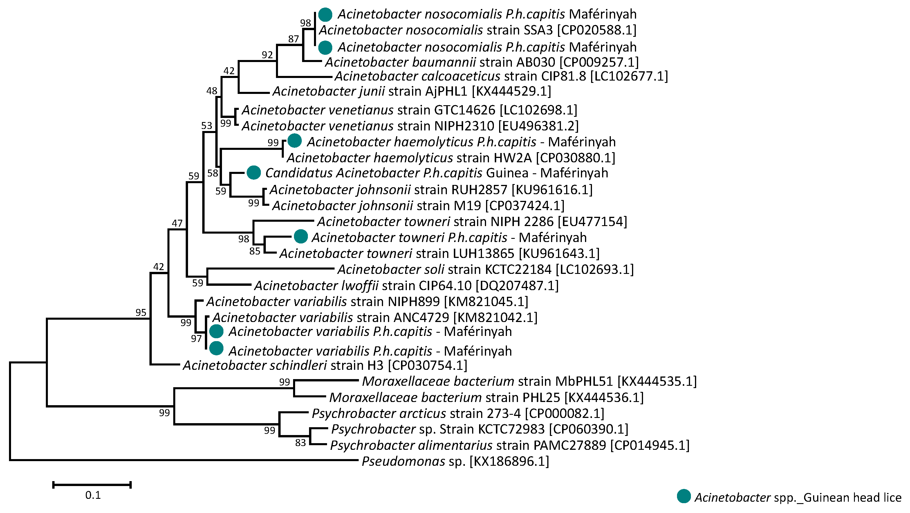 Microorganisms 09 00257 g005 Microorganisms 09 00257 g005