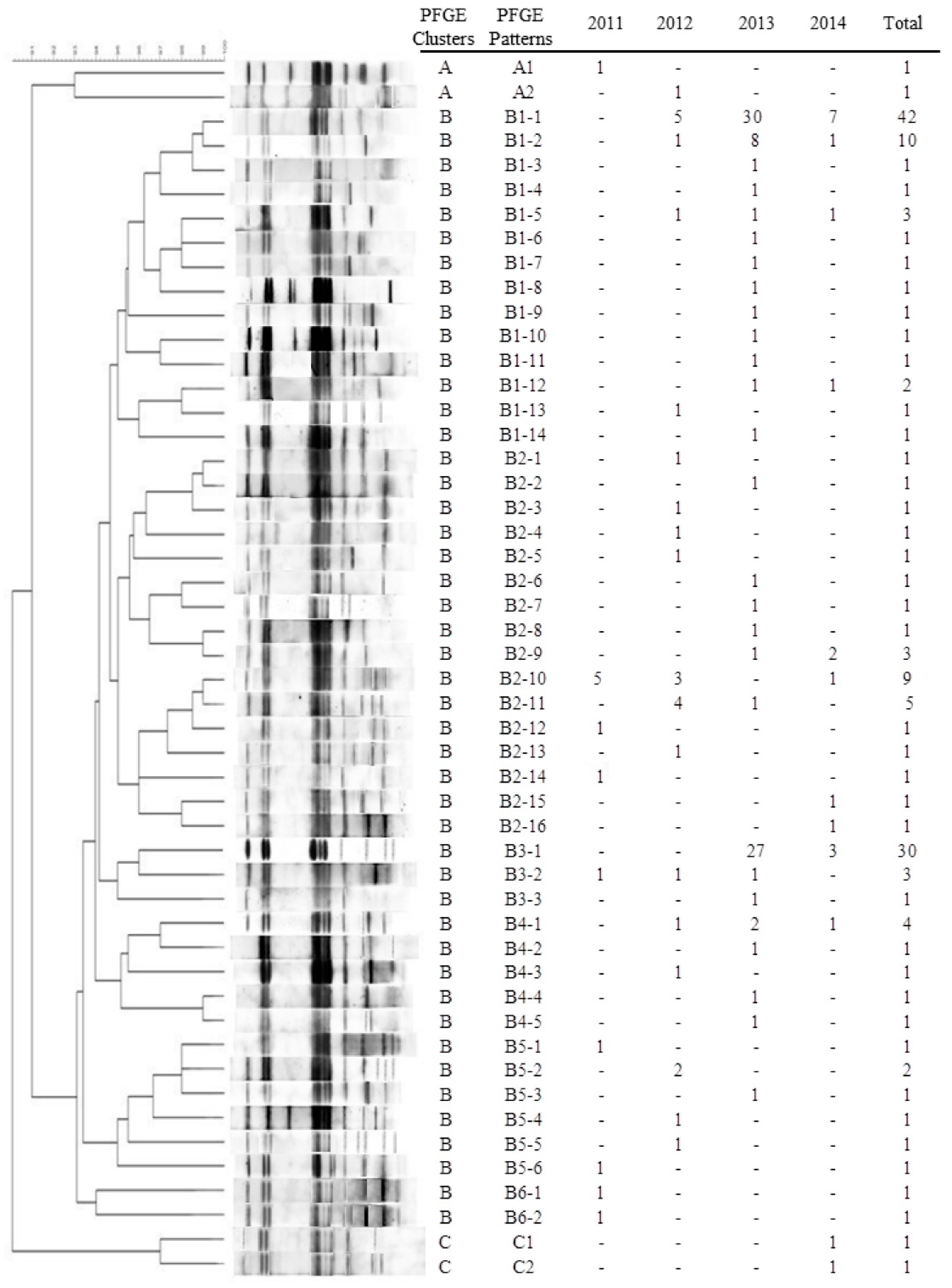 Microorganisms 09 00260 g005