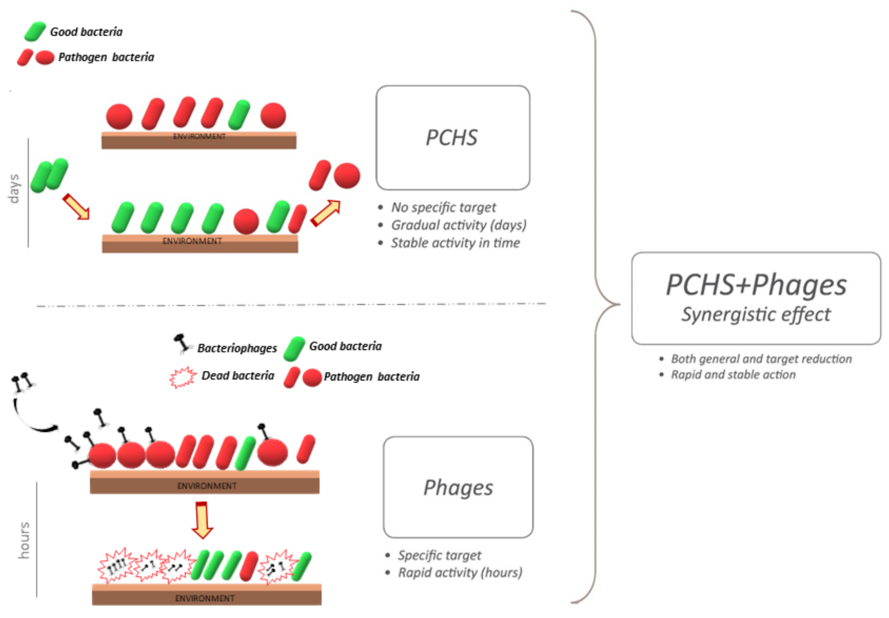 Microorganisms 09 00261 g002 Microorganisms 09 00261 g002