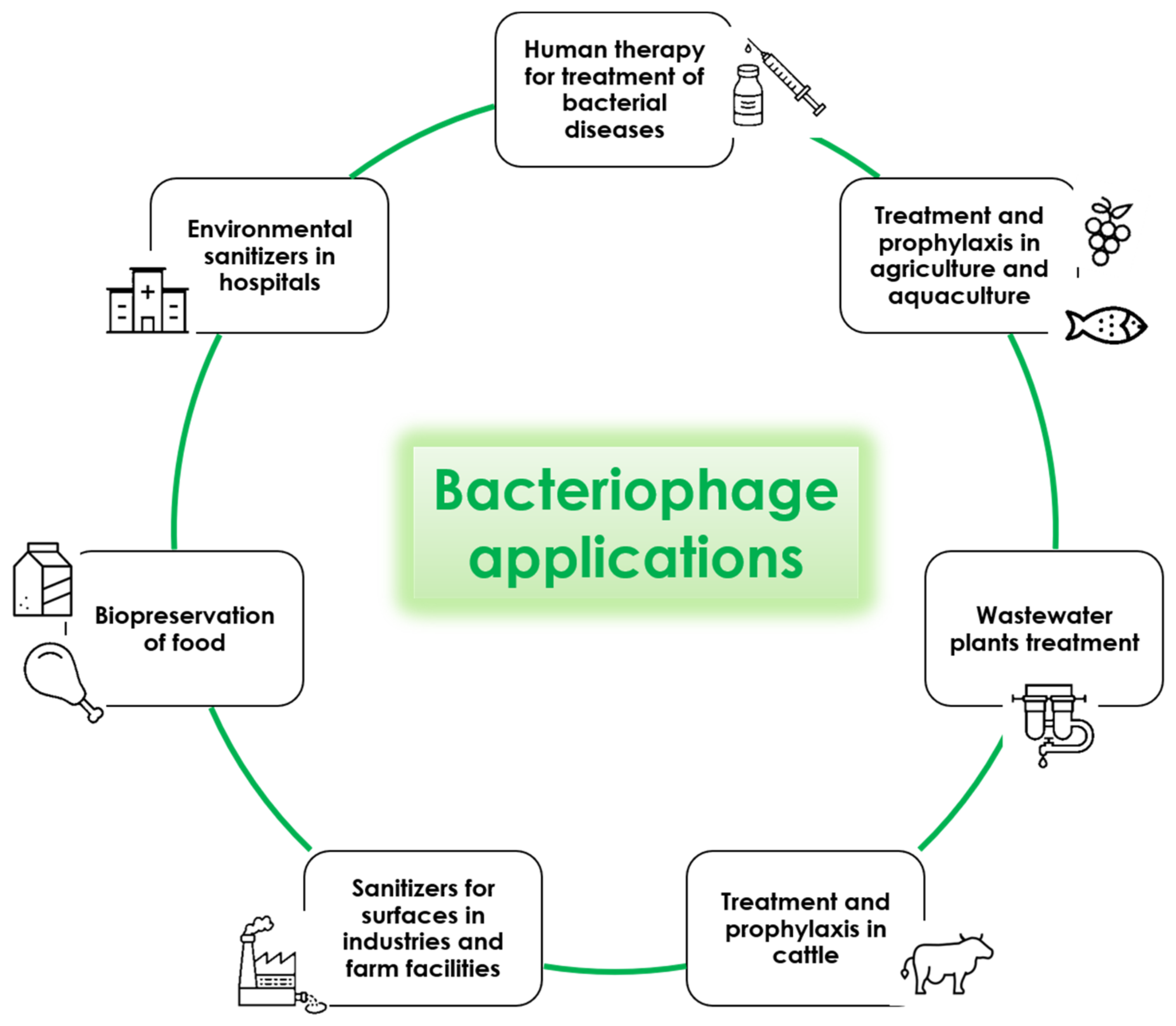 Microorganisms 09 00261 g003 Microorganisms 09 00261 g003