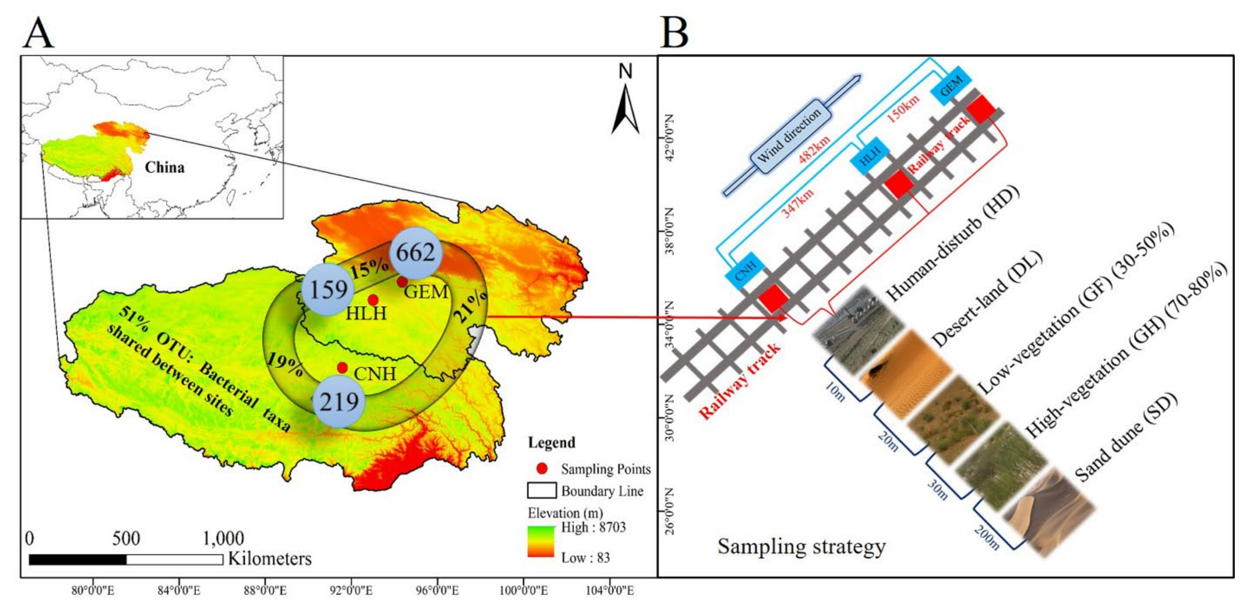 Microorganisms 09 00262 g001