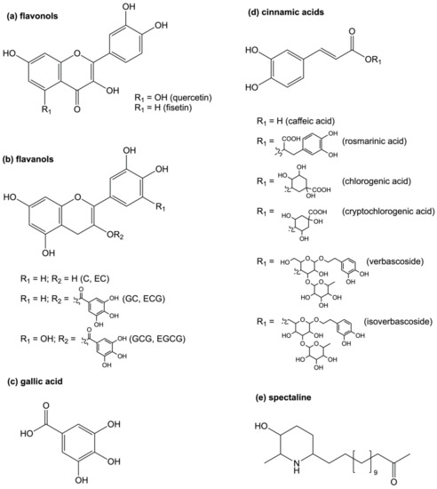 Microorganisms Free Full Text Natural Products That Target The Arginase In Leishmania Parasites Hold Therapeutic Promise Html