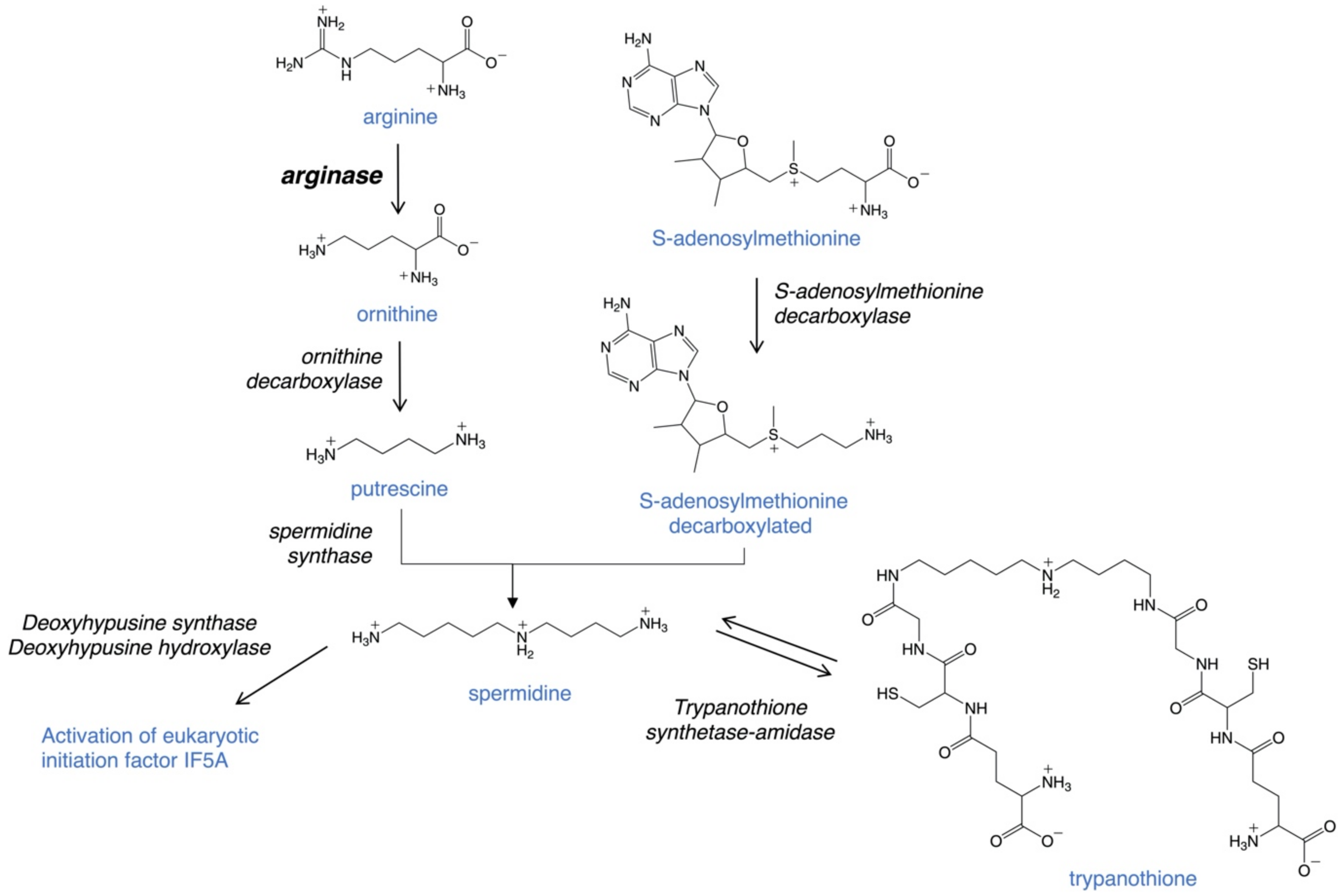 Microorganisms 09 00267 g002 Microorganisms 09 00267 g002
