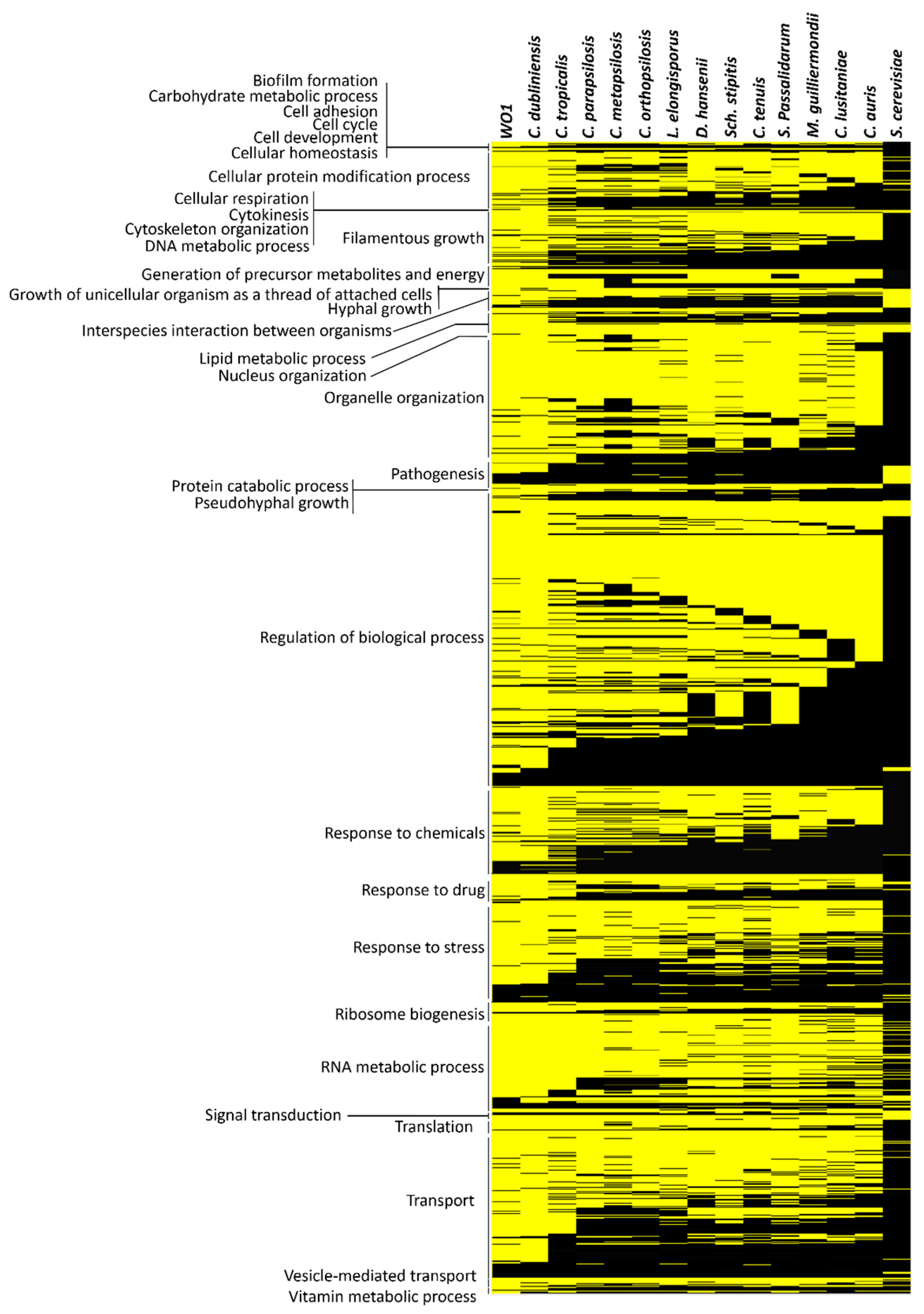 Microorganisms 09 00276 g001