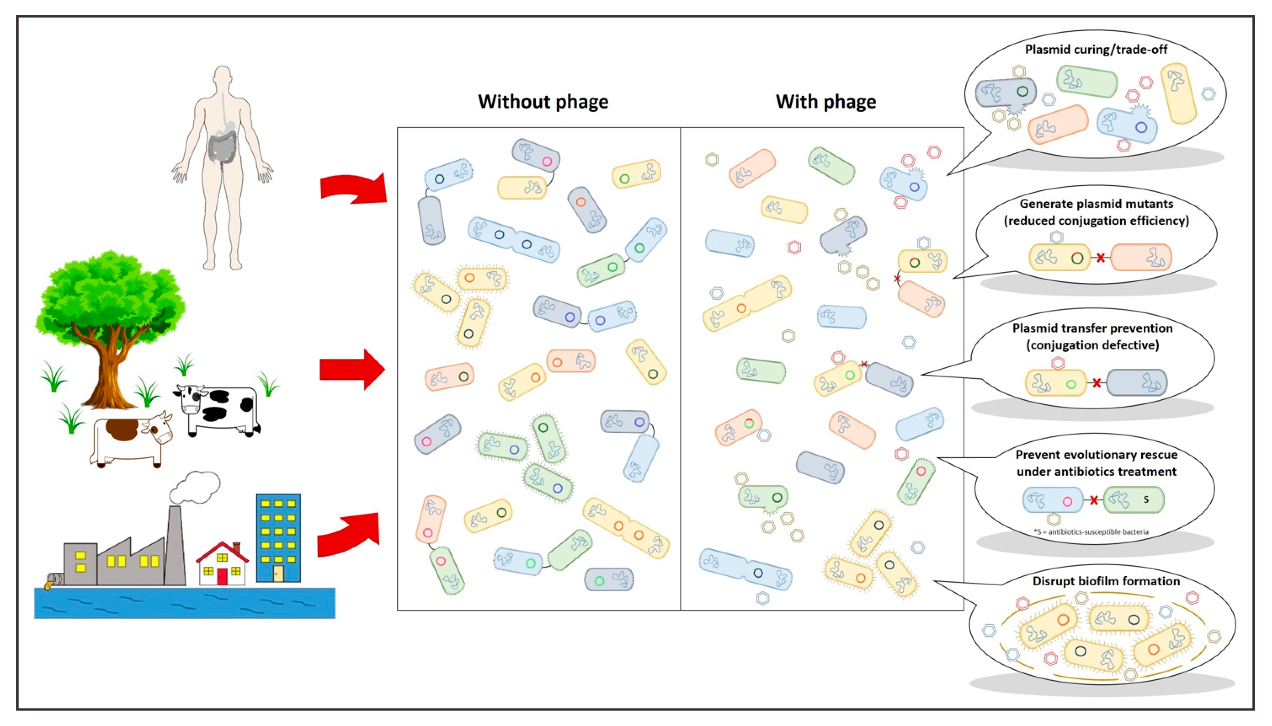Microorganisms 09 00280 g002 Microorganisms 09 00280 g002
