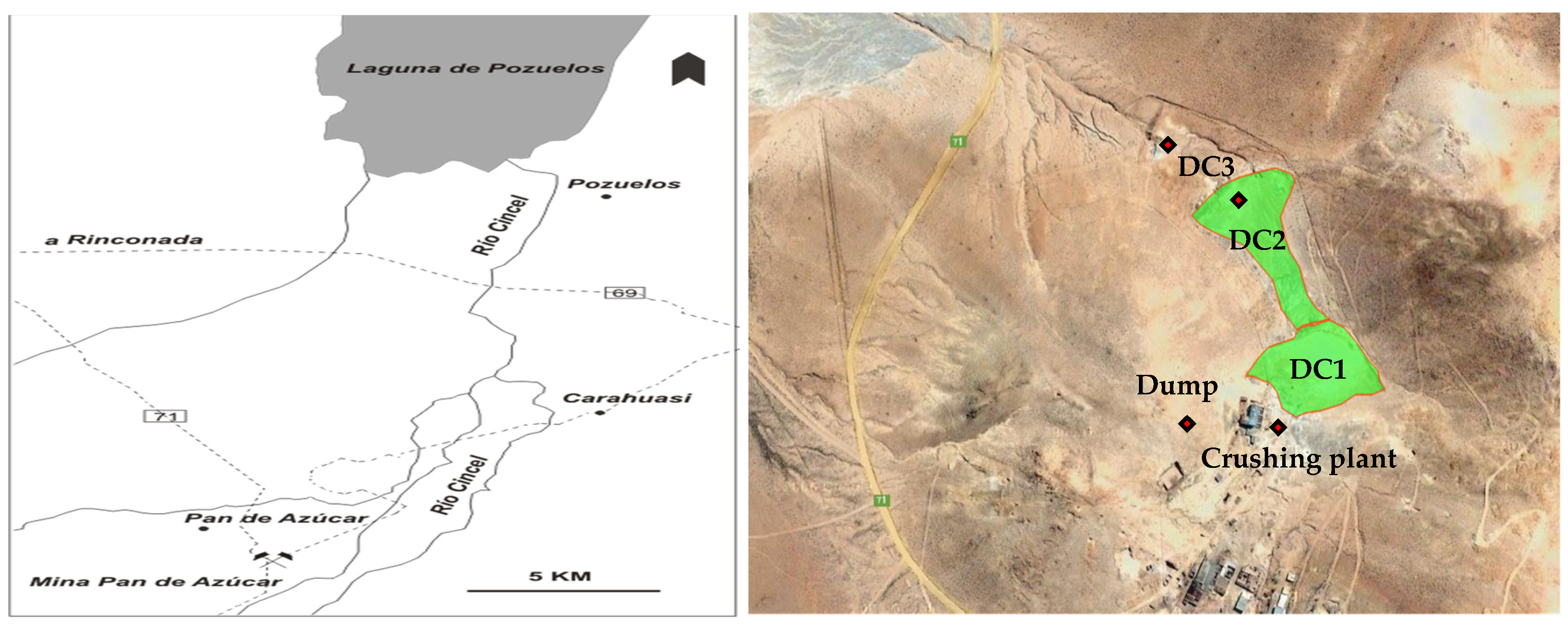 Microorganisms 09 00281 g001