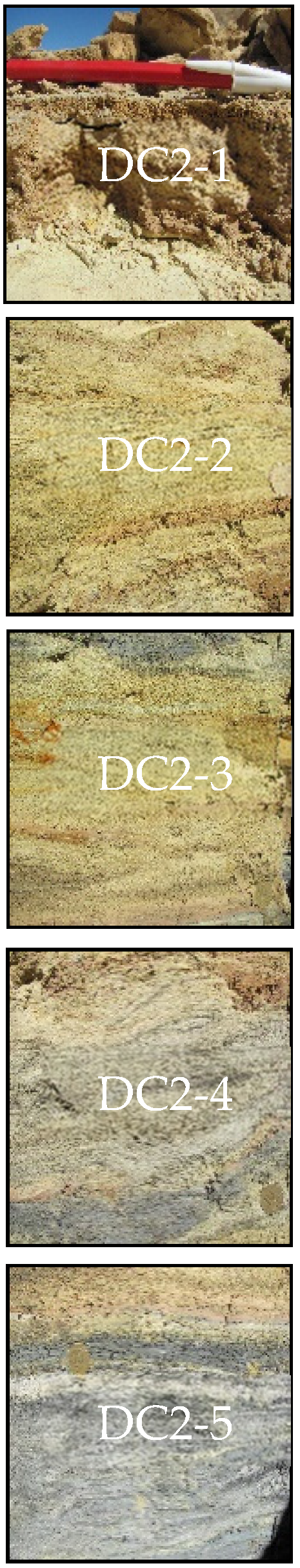 Microorganisms 09 00281 g002