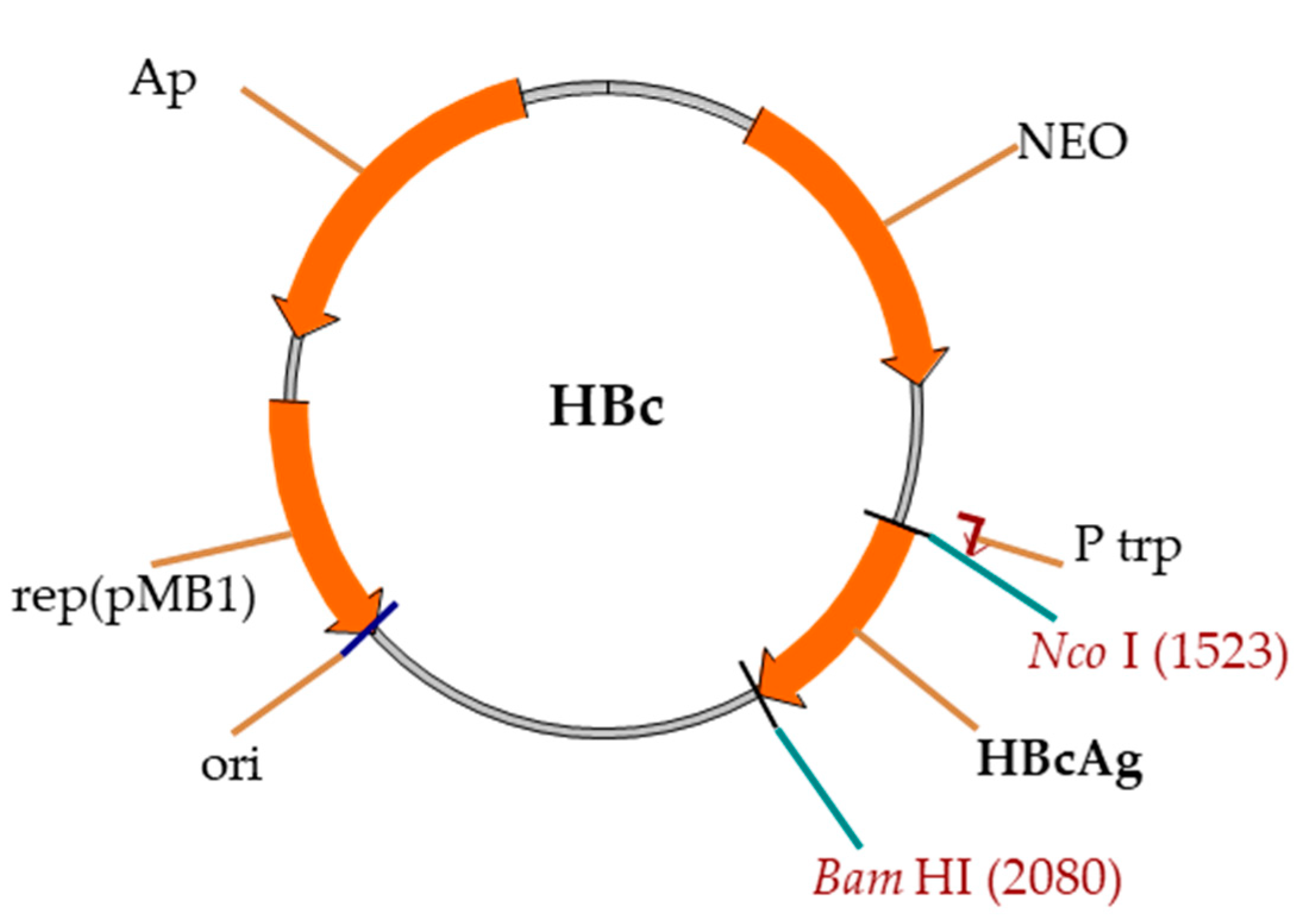 Microorganisms 09 00283 g002 Microorganisms 09 00283 g002