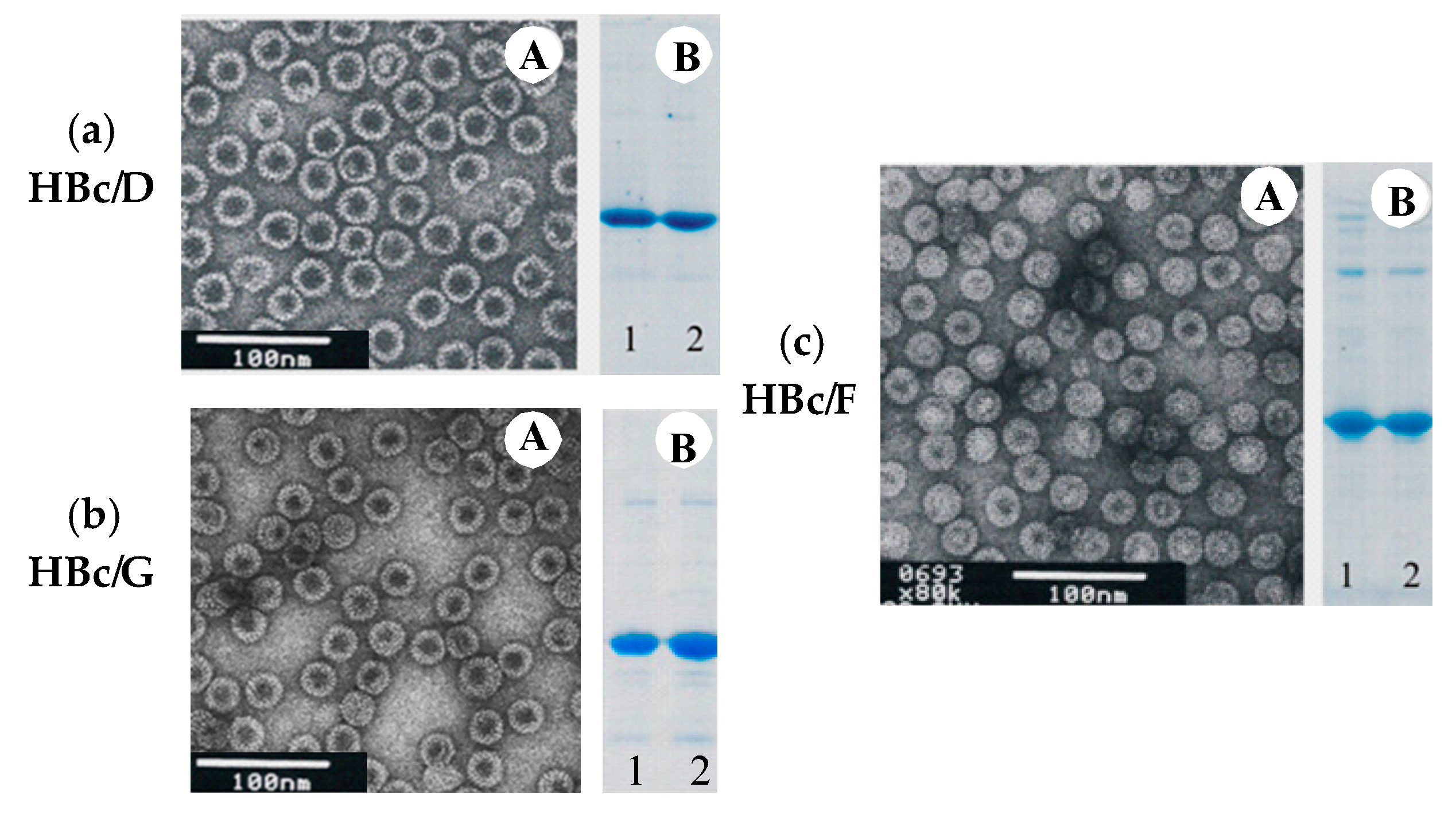 Microorganisms 09 00283 g005 Microorganisms 09 00283 g005