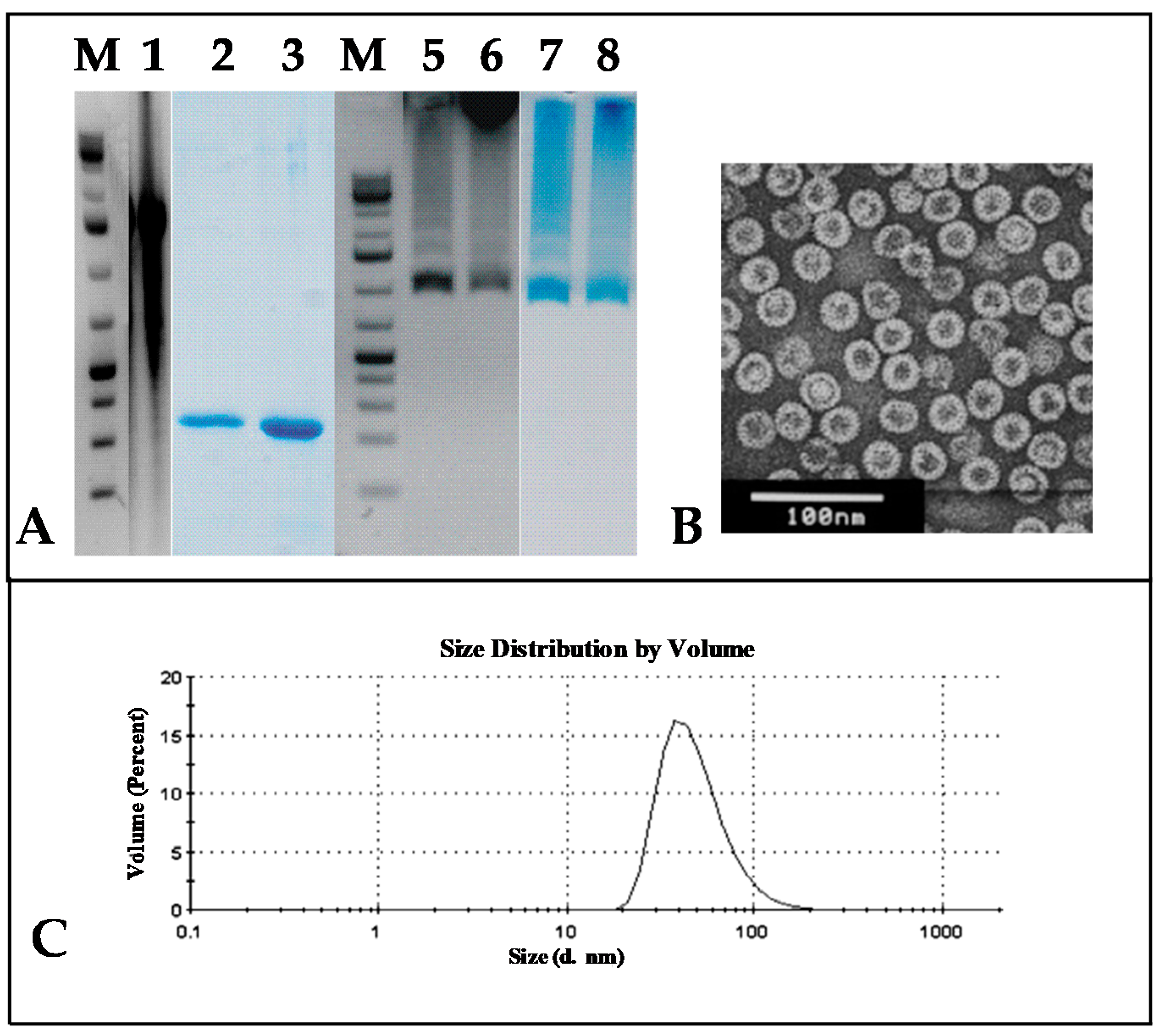 Microorganisms 09 00283 g007 Microorganisms 09 00283 g007