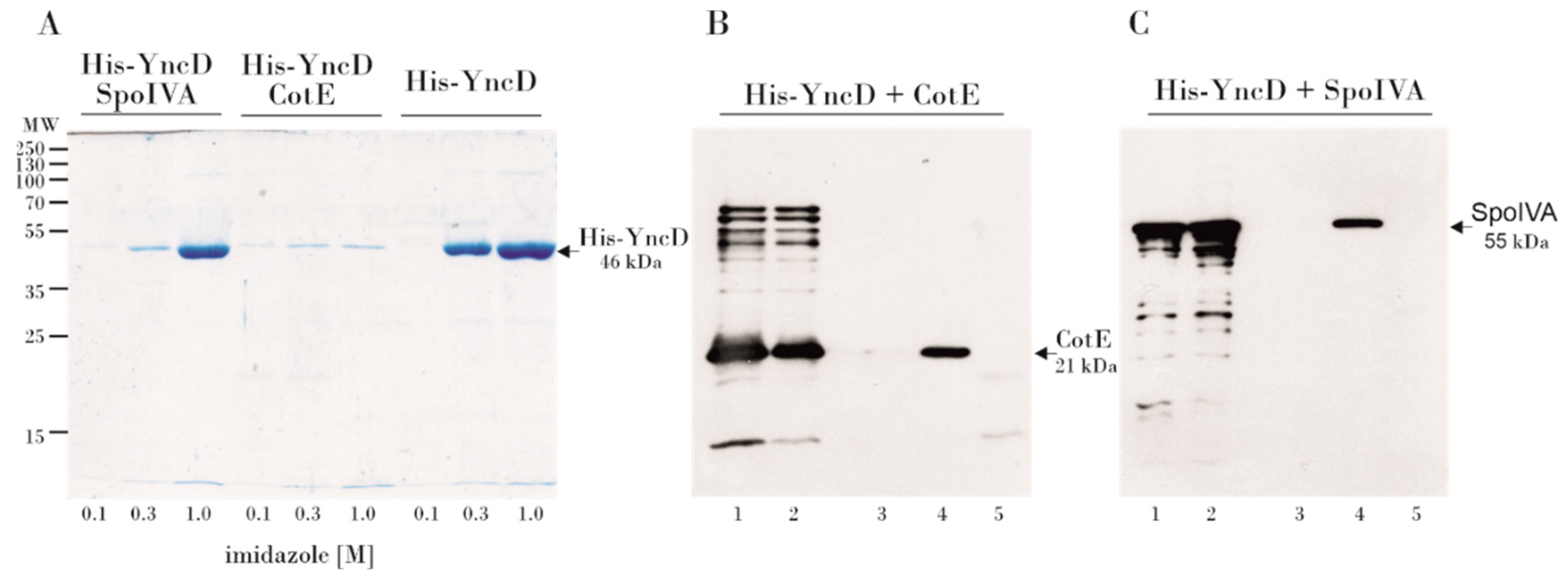 Microorganisms 09 00285 g002 Microorganisms 09 00285 g002