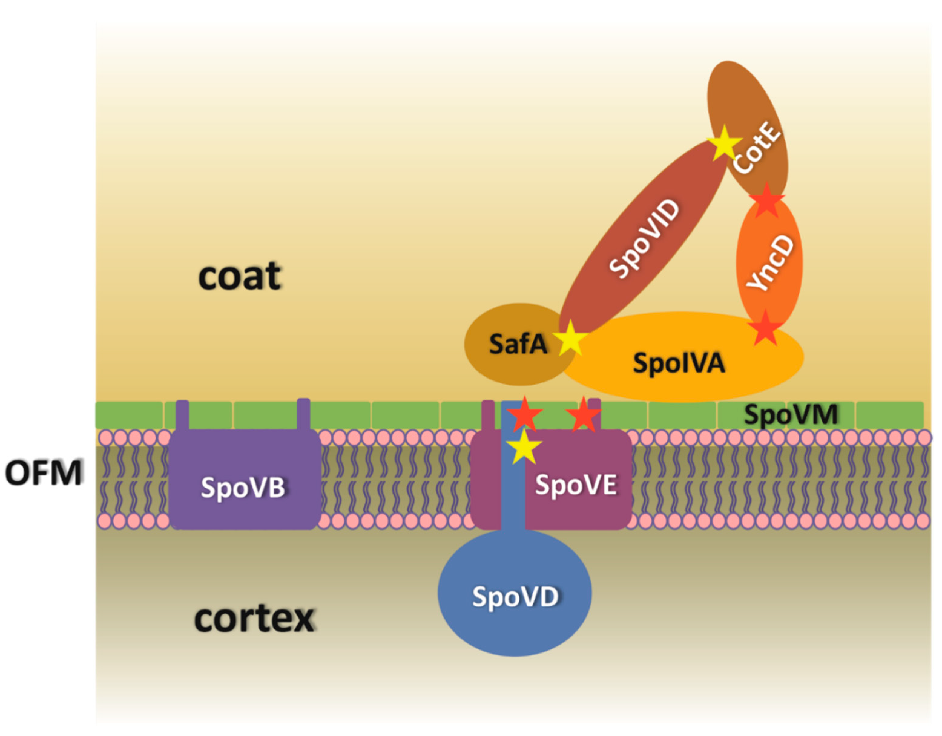 Microorganisms 09 00285 g006 Microorganisms 09 00285 g006