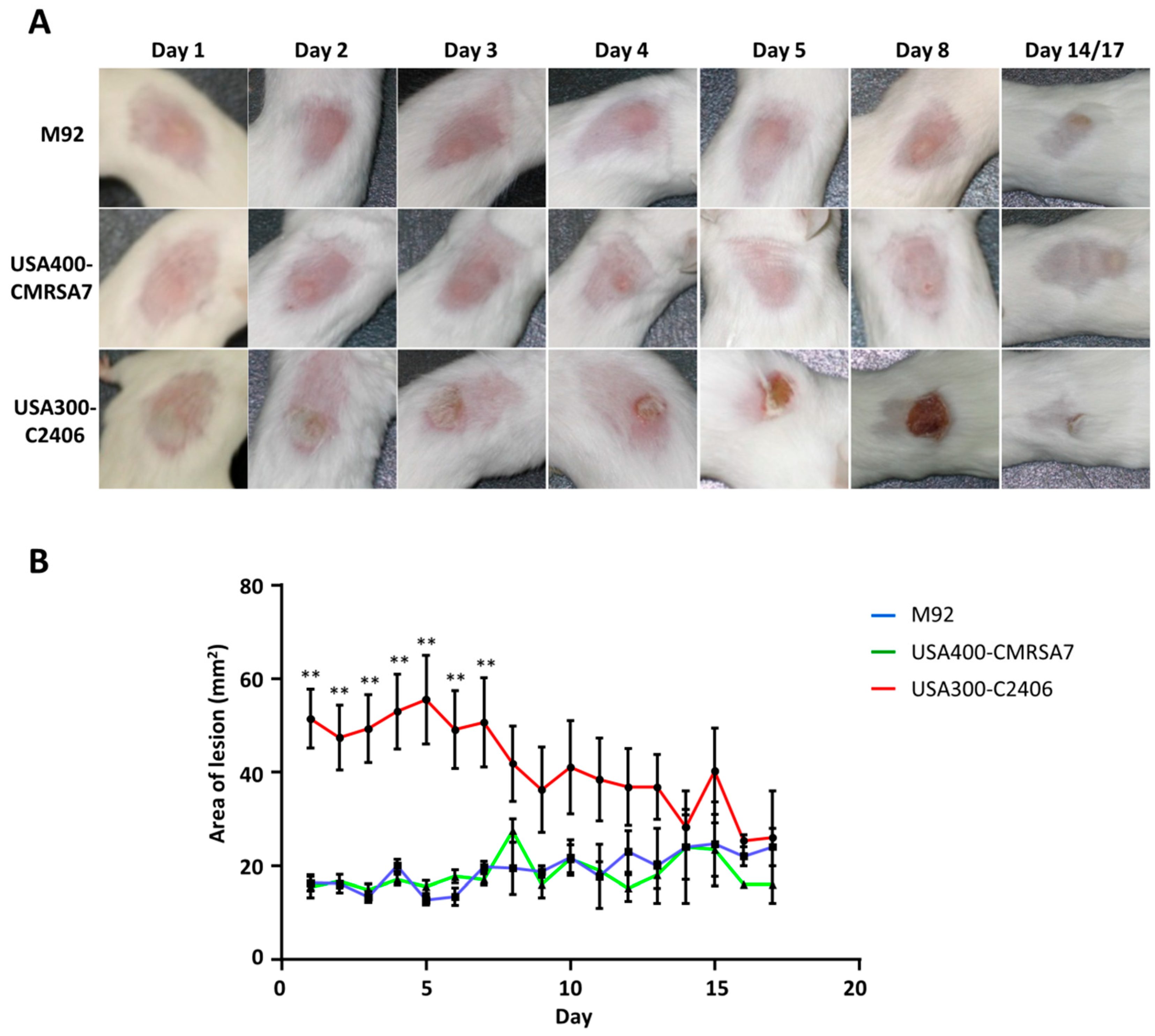 Microorganisms 09 00287 g002 Microorganisms 09 00287 g002