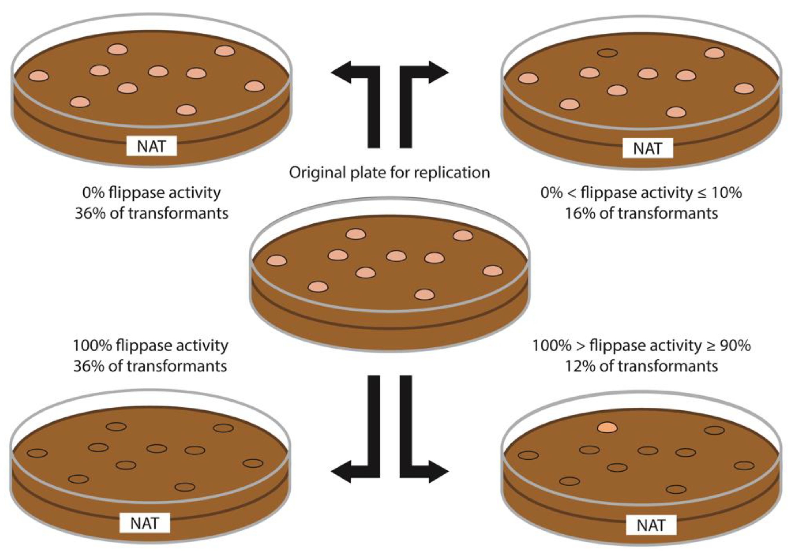Microorganisms 09 00290 g002 Microorganisms 09 00290 g002