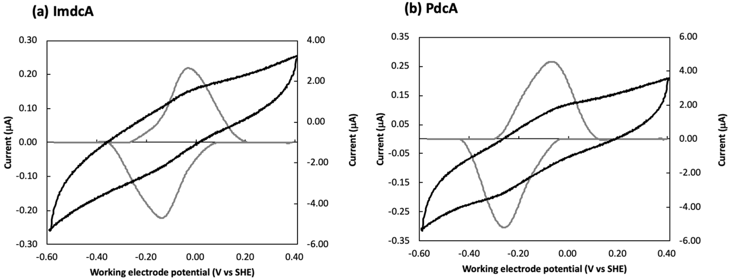 Microorganisms 09 00293 g002 Microorganisms 09 00293 g002