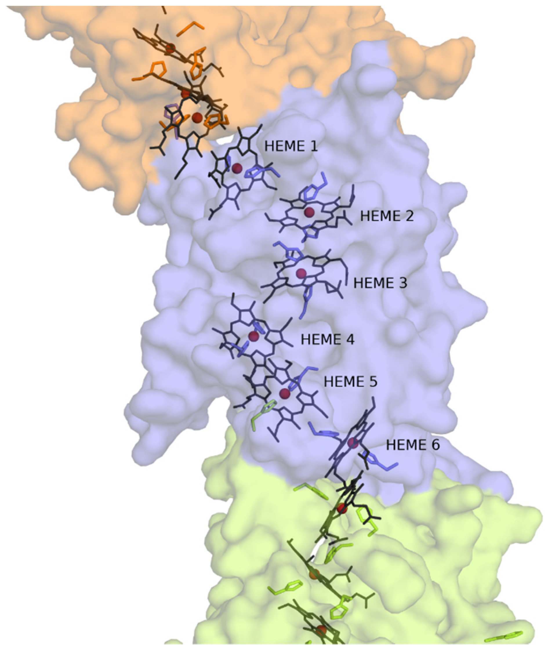Microorganisms 09 00293 g003 Microorganisms 09 00293 g003