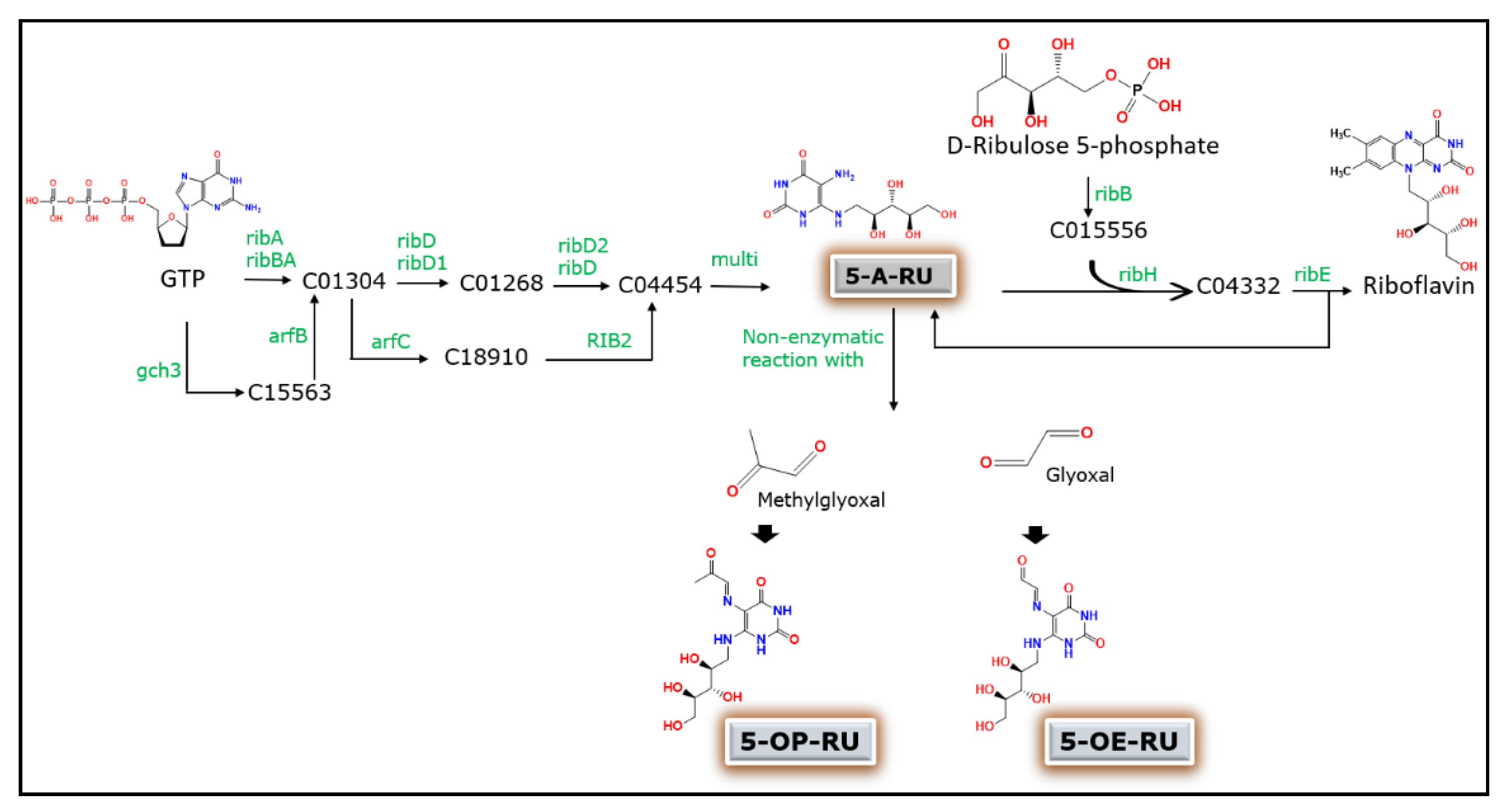 Microorganisms Free Full Text Pathophysiological Roles Of Mucosal Associated Invariant T Cells In The Context Of Gut Microbiota Liver Axis Html Microorganisms Free Full Text Pathophysiological Roles Of Mucosal Associated Invariant T Cells In The Context Of Gut Microbiota Liver Axis Html