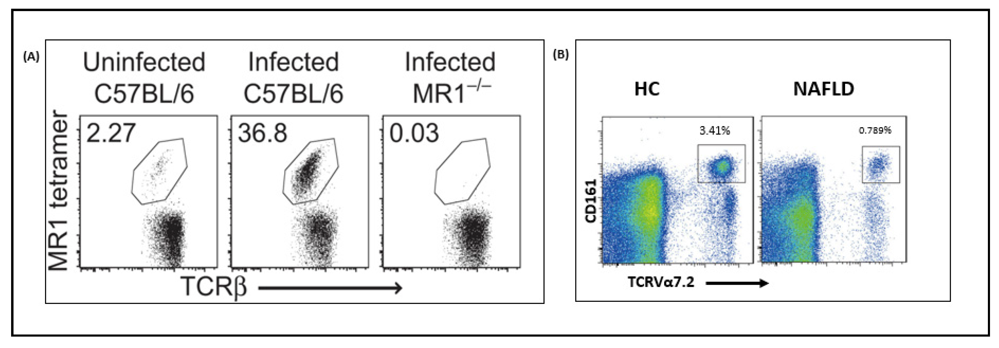 Microorganisms 09 00296 g003 Microorganisms 09 00296 g003