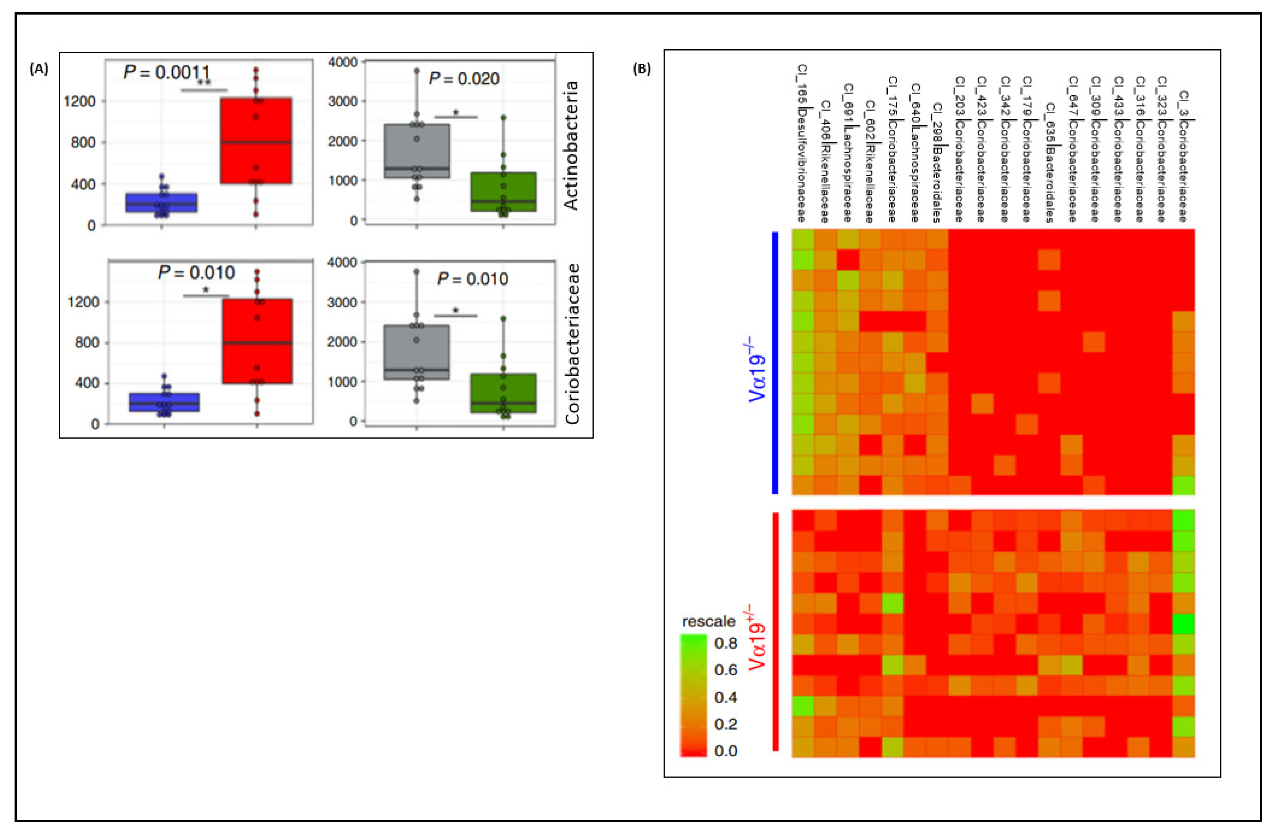 Microorganisms Free Full Text Pathophysiological Roles Of Mucosal Associated Invariant T Cells In The Context Of Gut Microbiota Liver Axis Html Microorganisms Free Full Text Pathophysiological Roles Of Mucosal Associated Invariant T Cells In The Context Of Gut Microbiota Liver Axis Html
