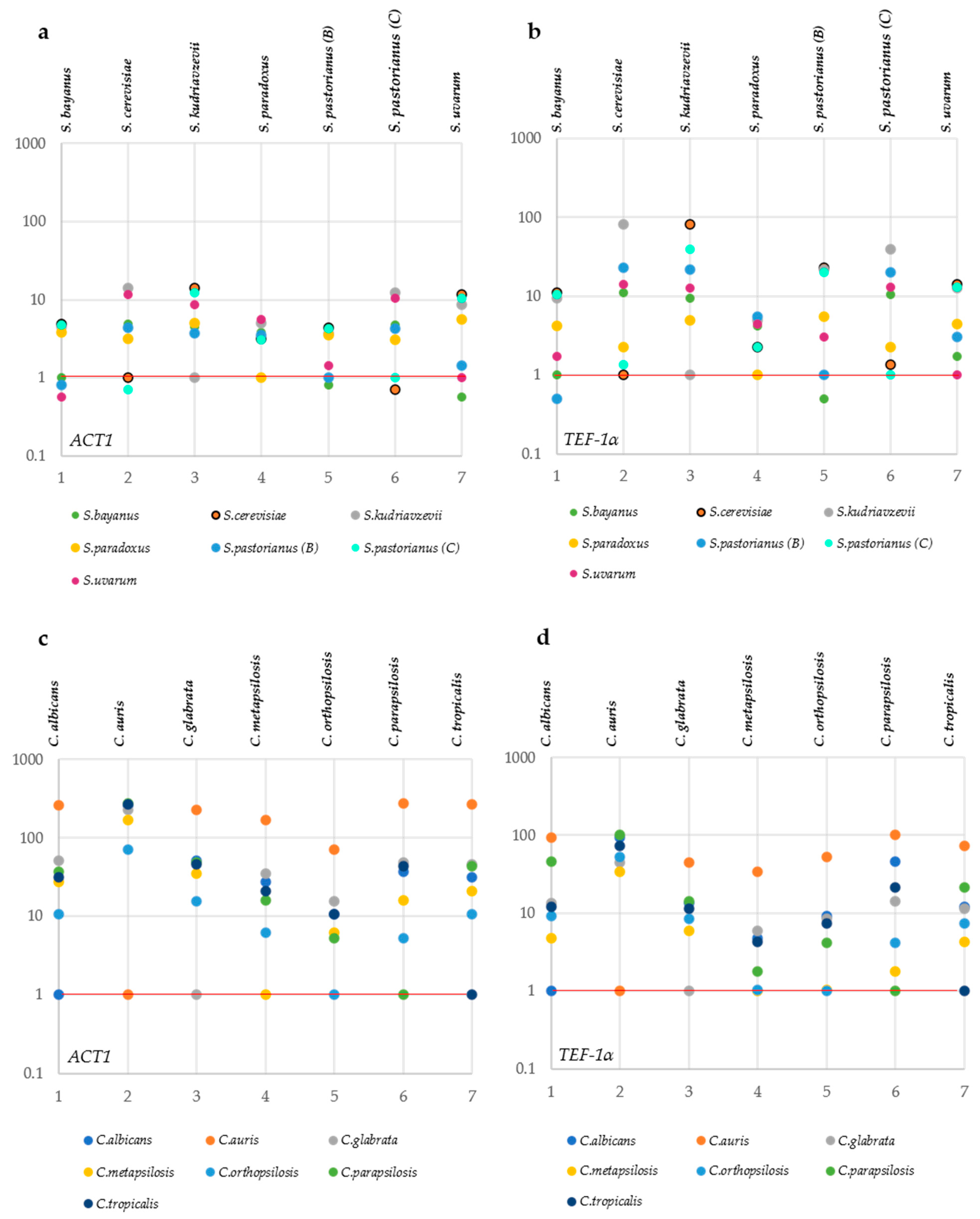Microorganisms 09 00299 g005