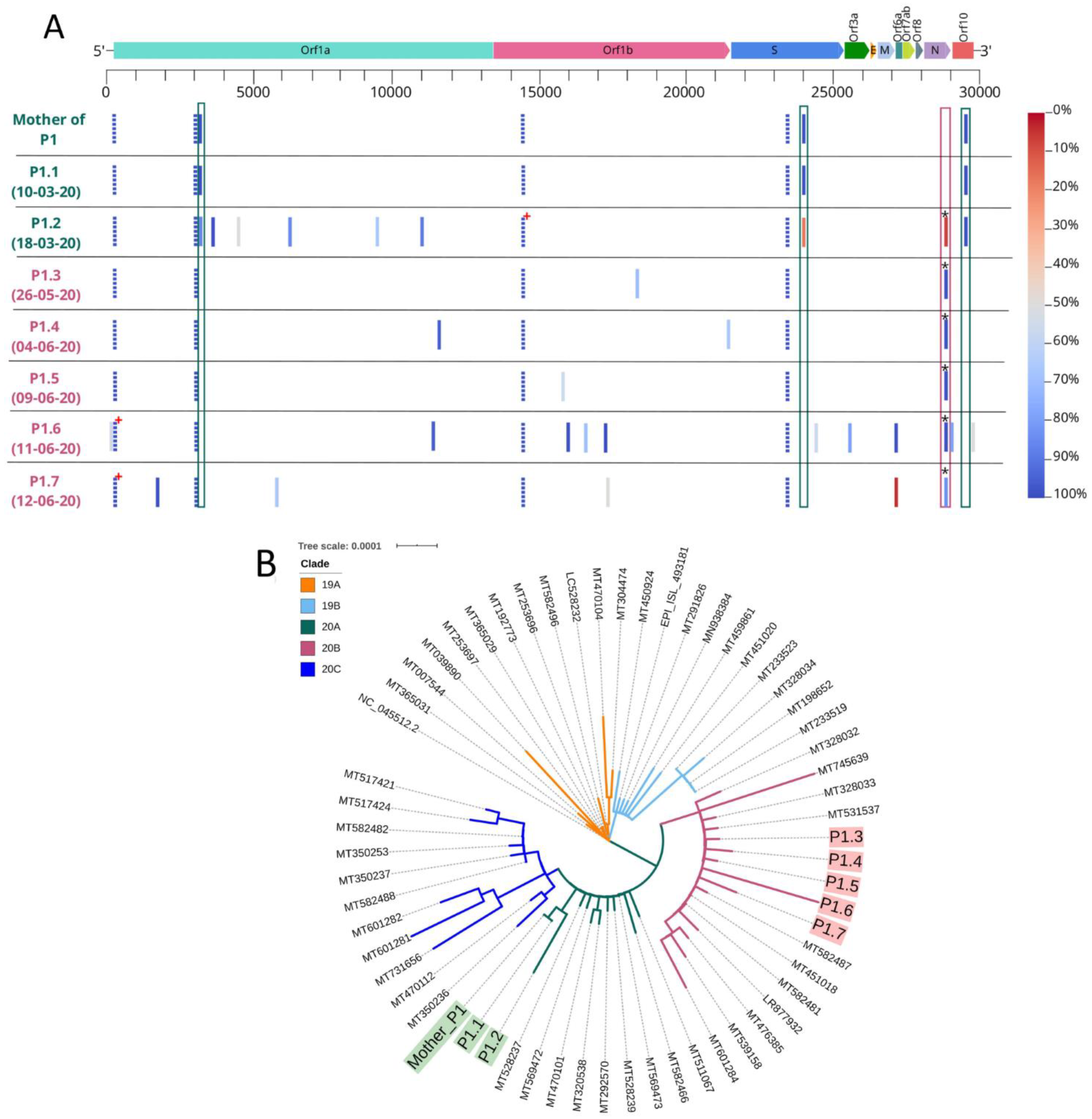 Microorganisms 09 00300 g002 Microorganisms 09 00300 g002