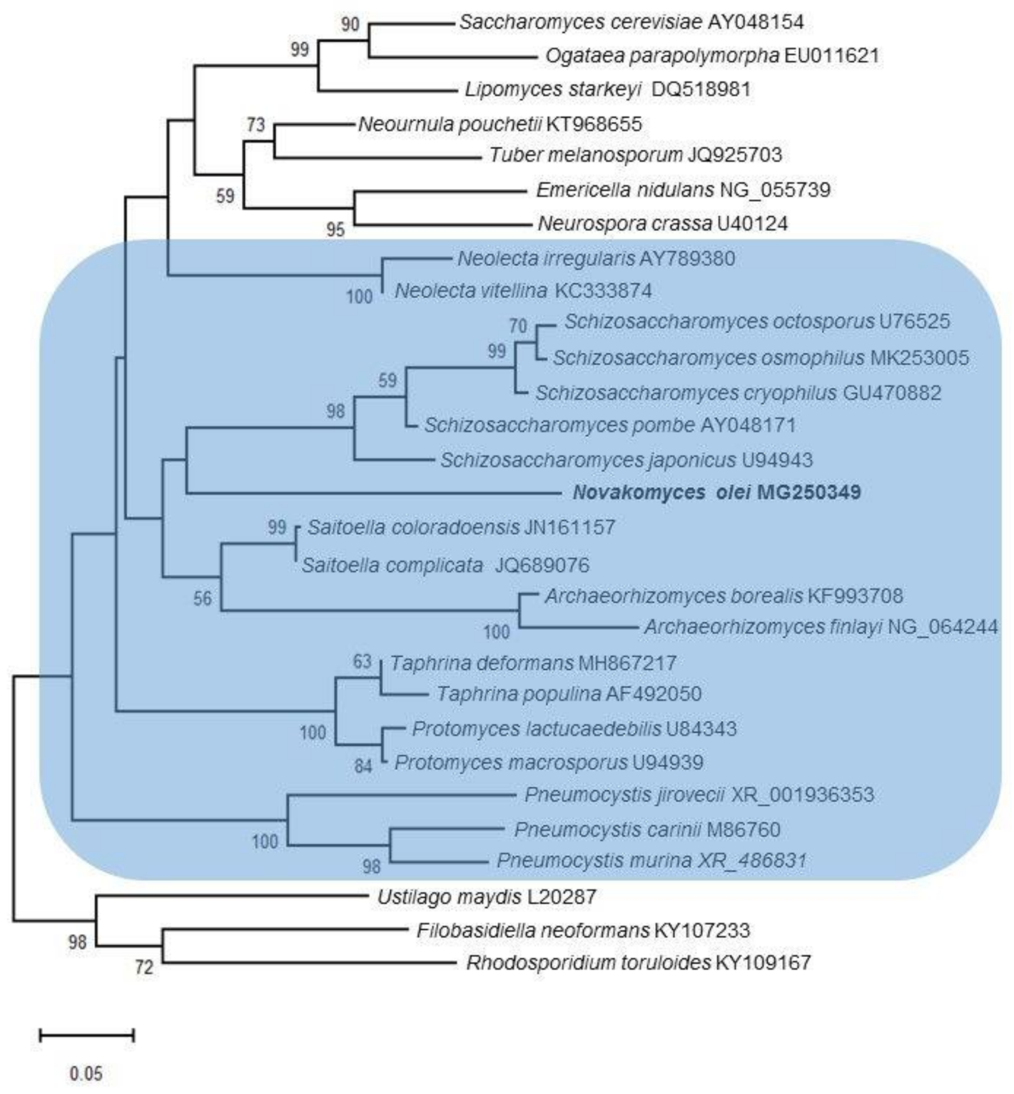 Microorganisms 09 00301 g001