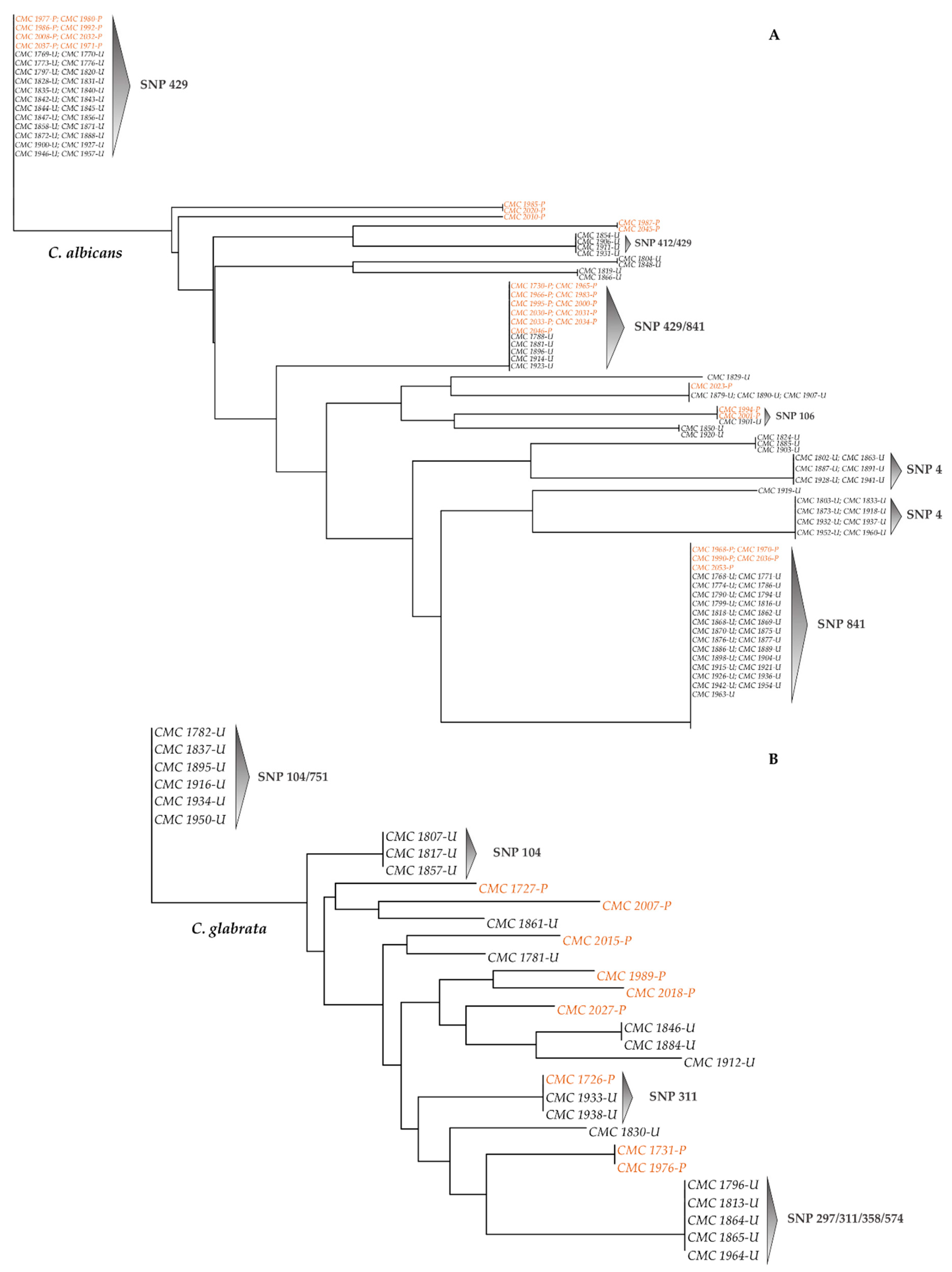 Microorganisms 09 00302 g008 Microorganisms 09 00302 g008