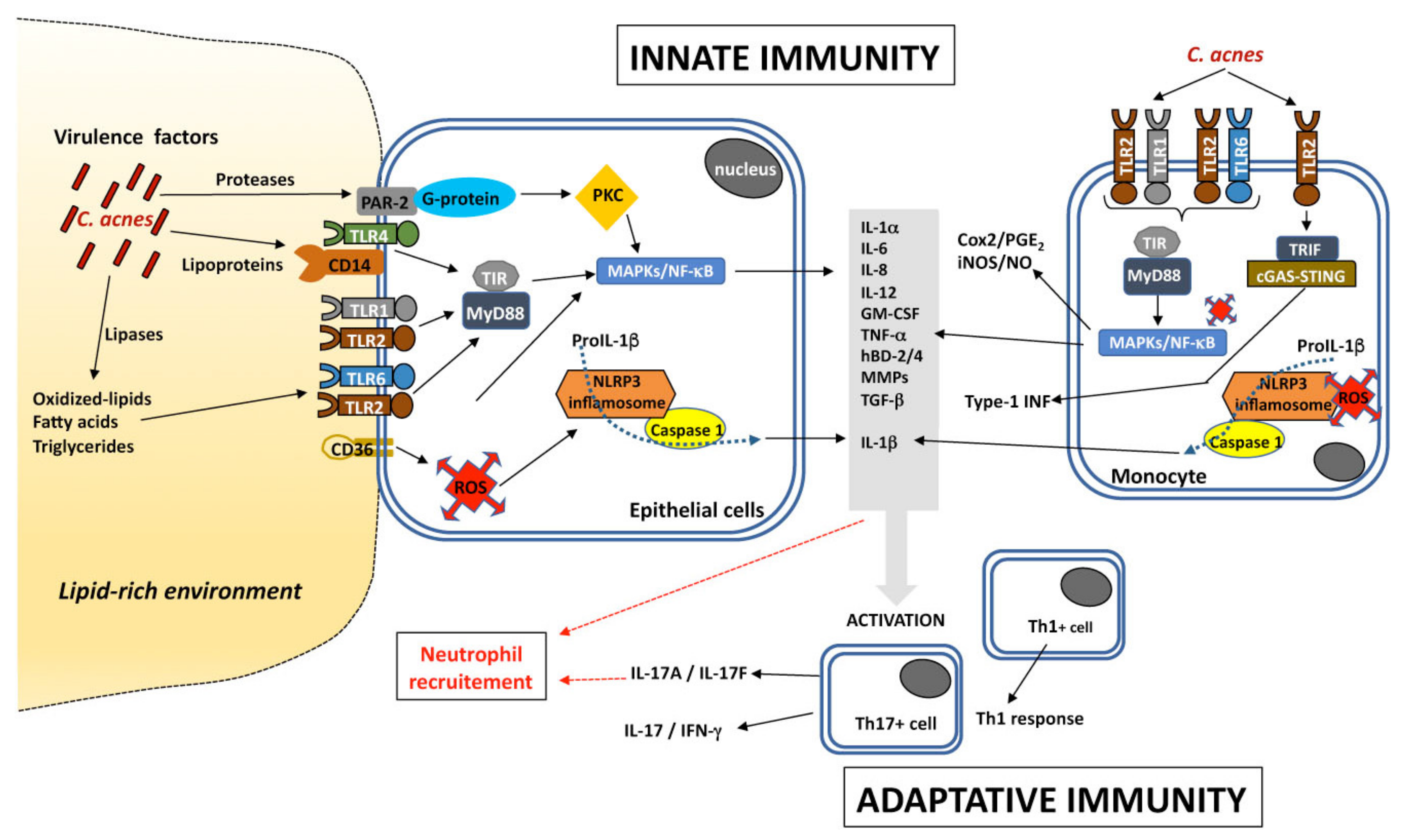 Microorganisms 09 00303 g002 Microorganisms 09 00303 g002