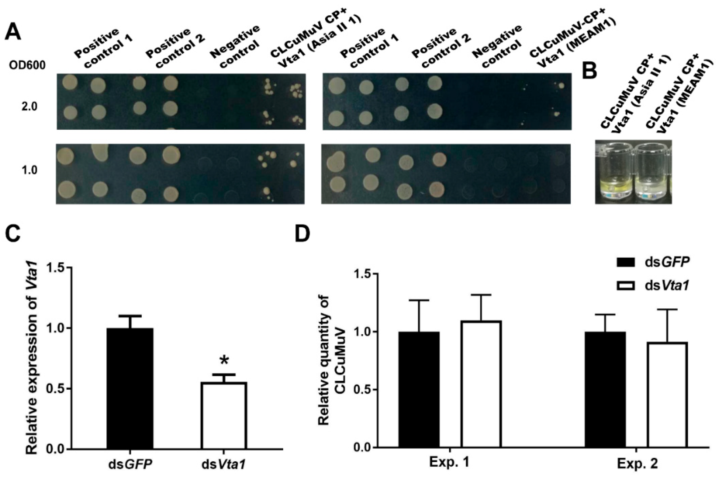 Microorganisms 09 00304 g006 Microorganisms 09 00304 g006