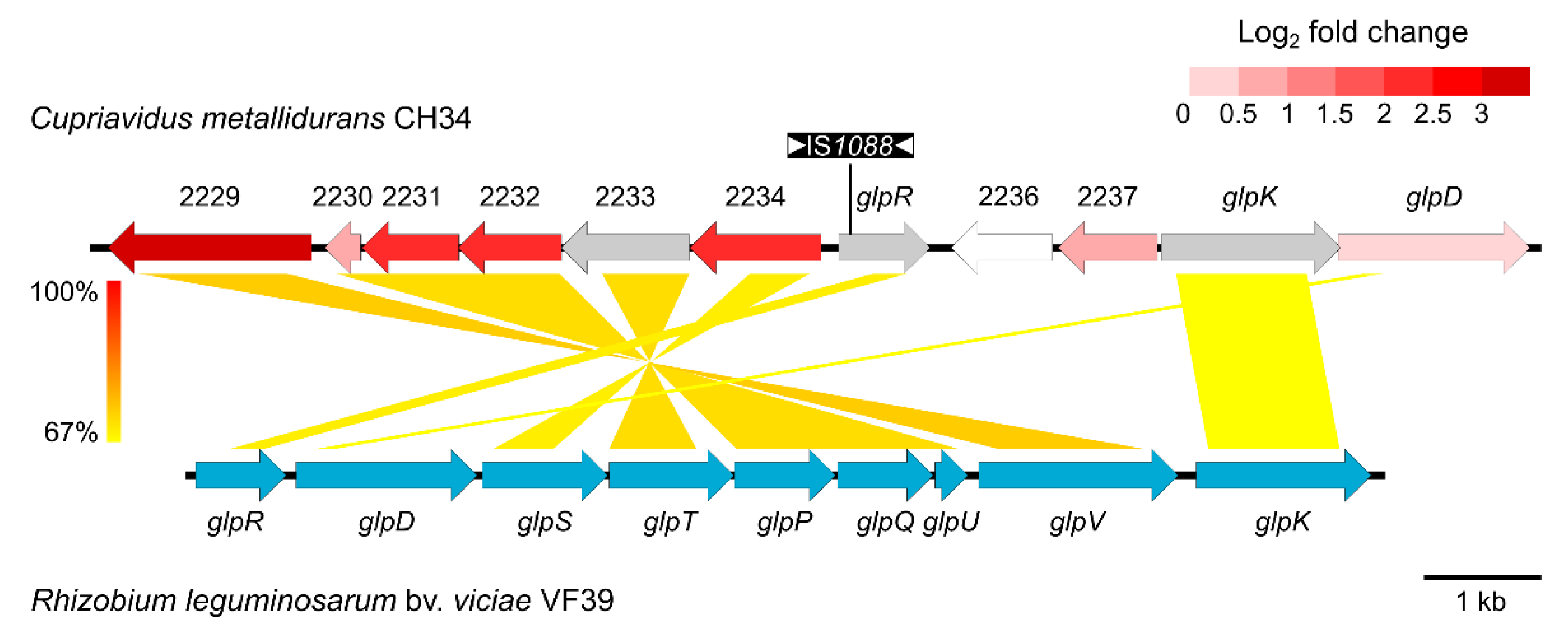 Microorganisms 09 00309 g002 Microorganisms 09 00309 g002