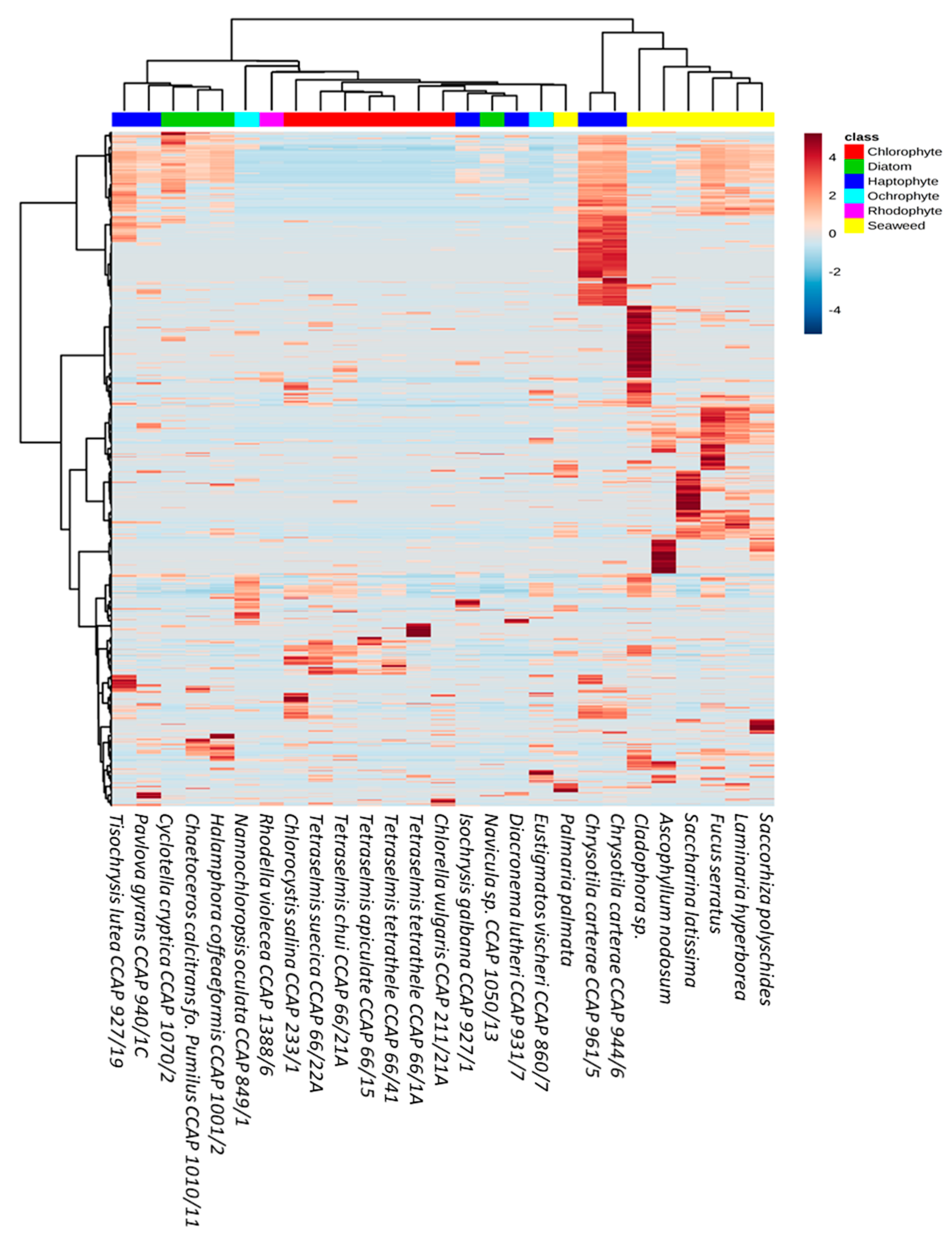 Microorganisms 09 00311 g003 Microorganisms 09 00311 g003